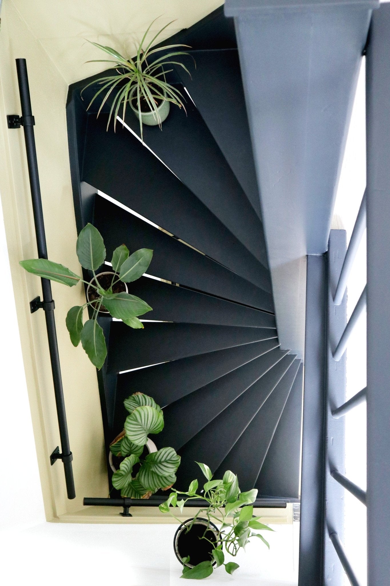 LAB Trapcoating - LAB COLOUR THE WORLD