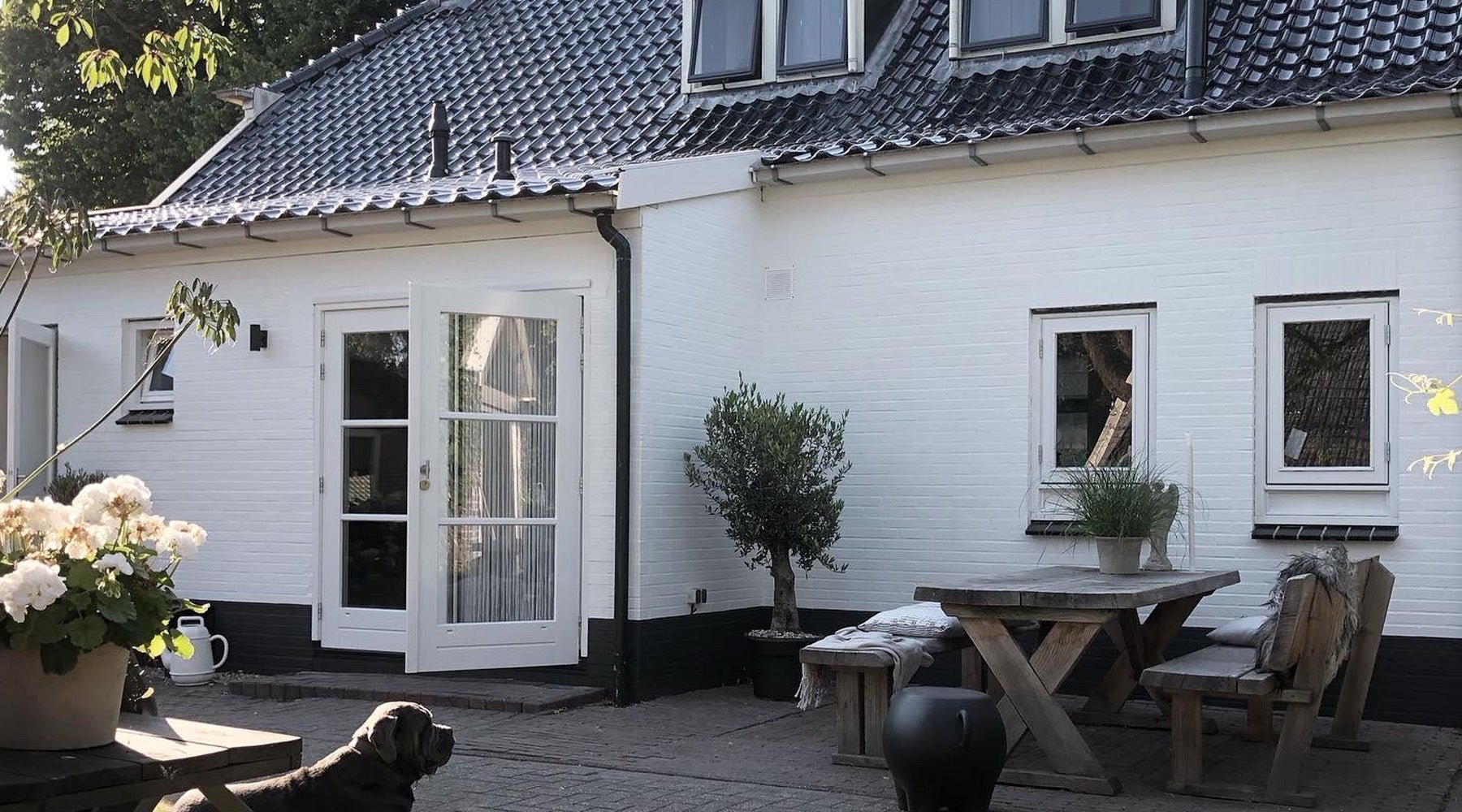 LAB wallpaint exterior - LAB COLOUR THE WORLD