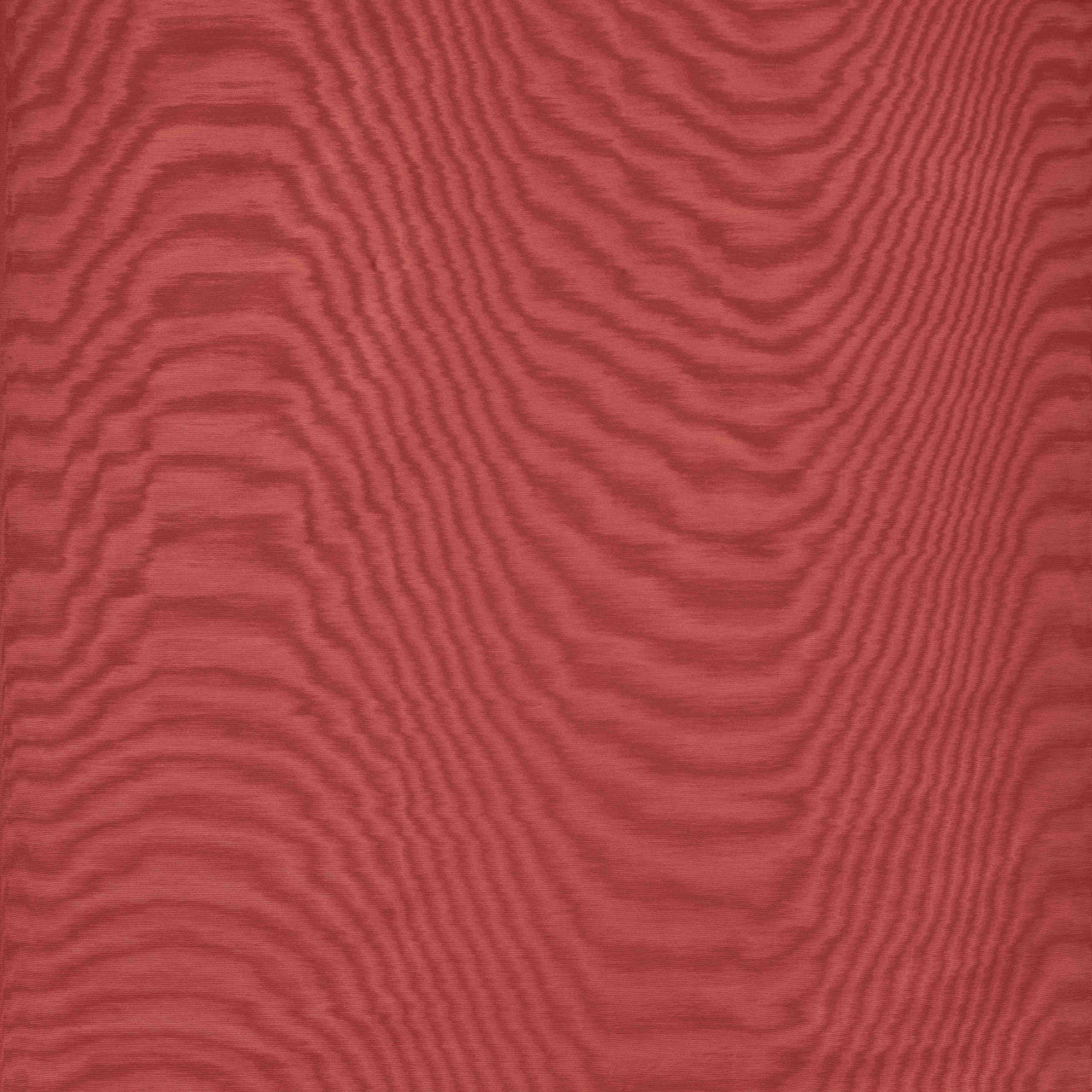 Dedar Amoir Fou Behang 02D2080600022 - LAB COLOUR THE WORLD