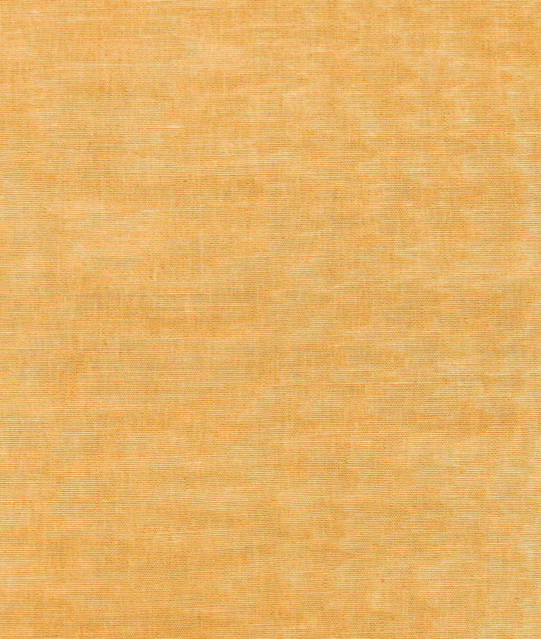Dedar Moiré Chanvre Behang 02D2400200010 - LAB COLOUR THE WORLD