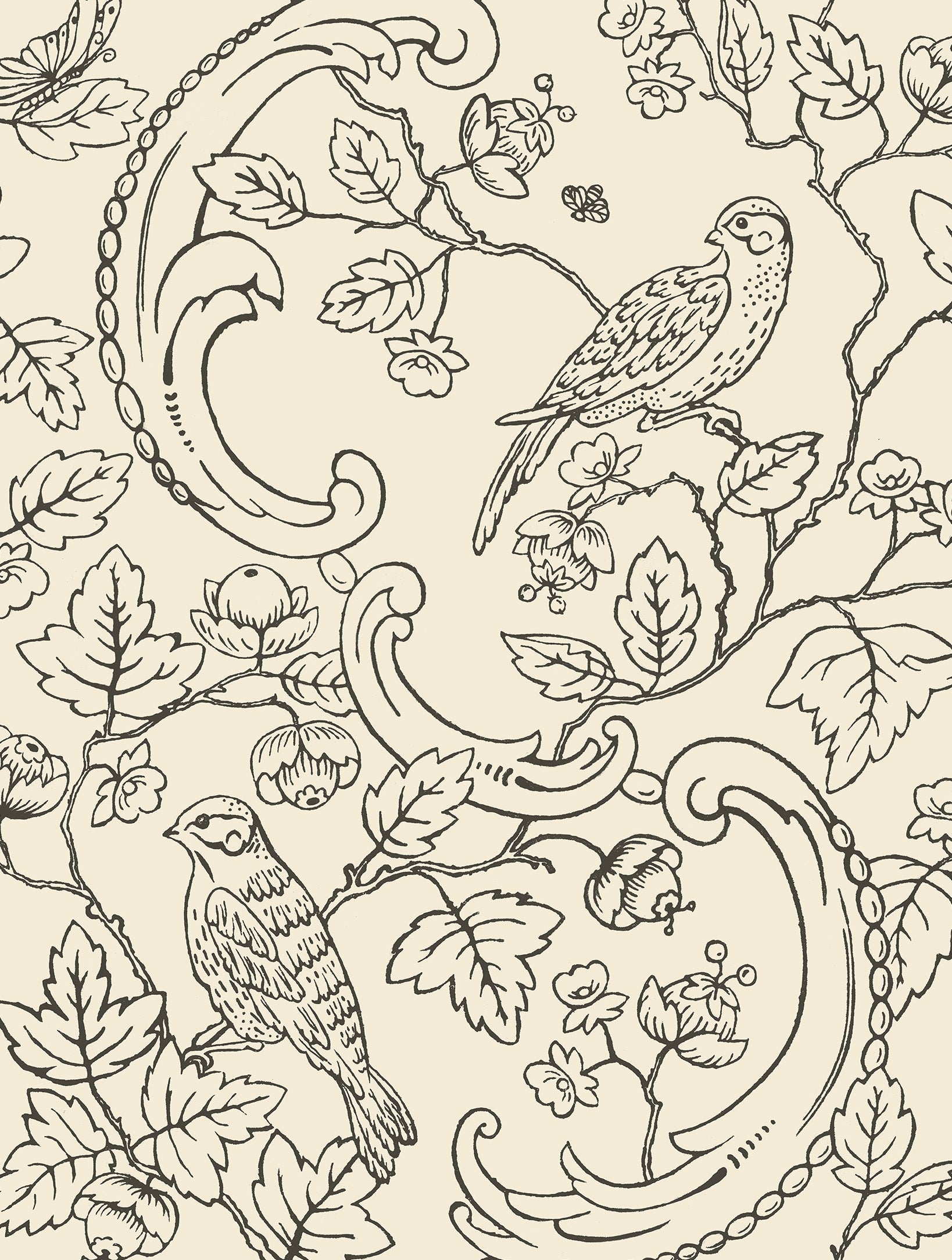 Antoinette Poisson Oiseaux & Feuillage Behang Rouleau 24C