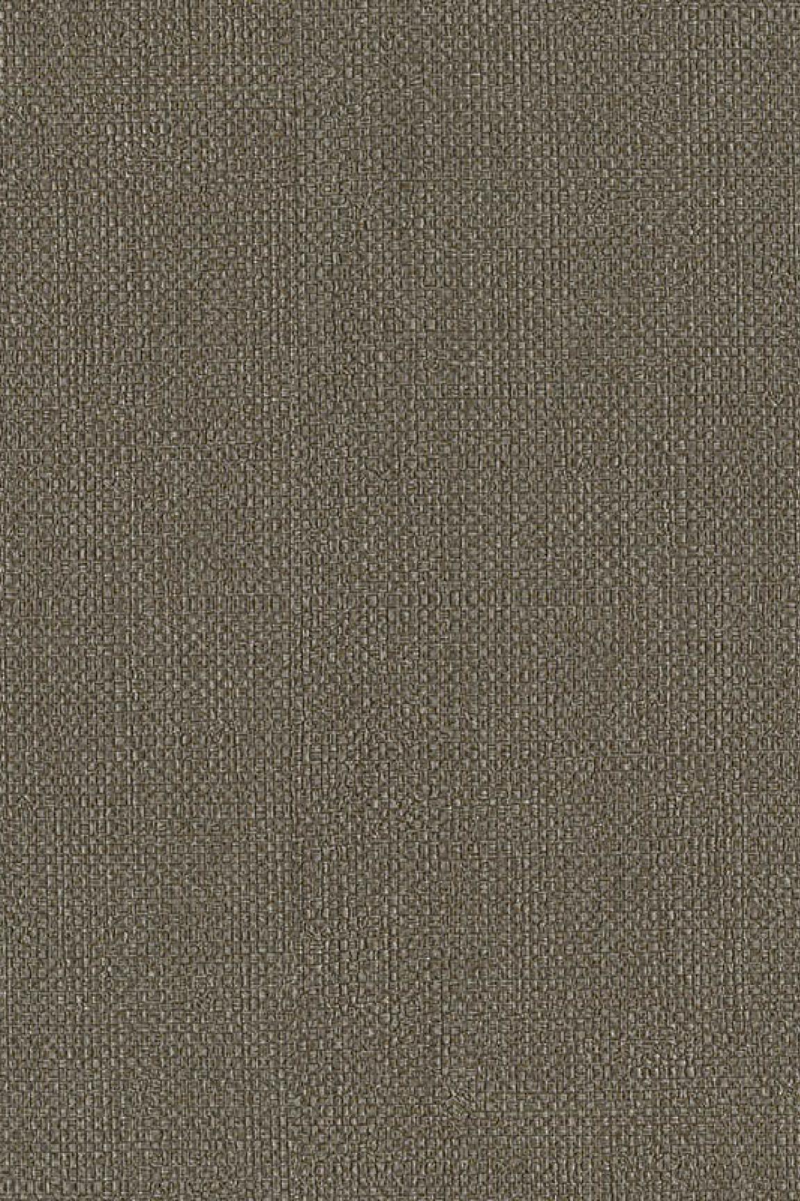 HookedOnWalls Passe Partout 2026 Colour Vibes 29842