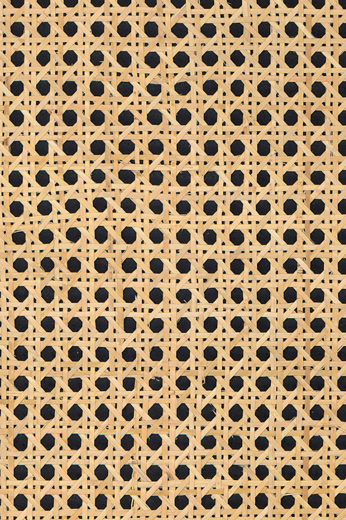 ARTE All Naturals Rattan 85541A