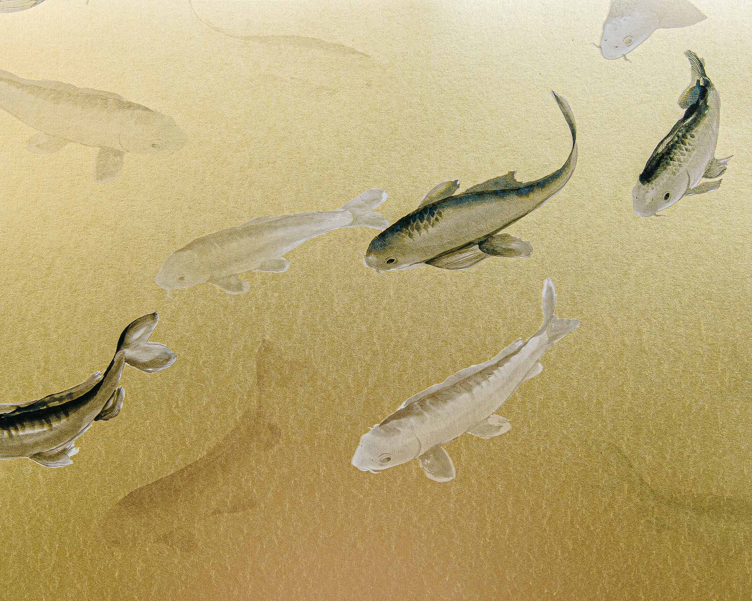 Coordonné Random Metallics Koi behang 9600060G sfeer afbeelding 2