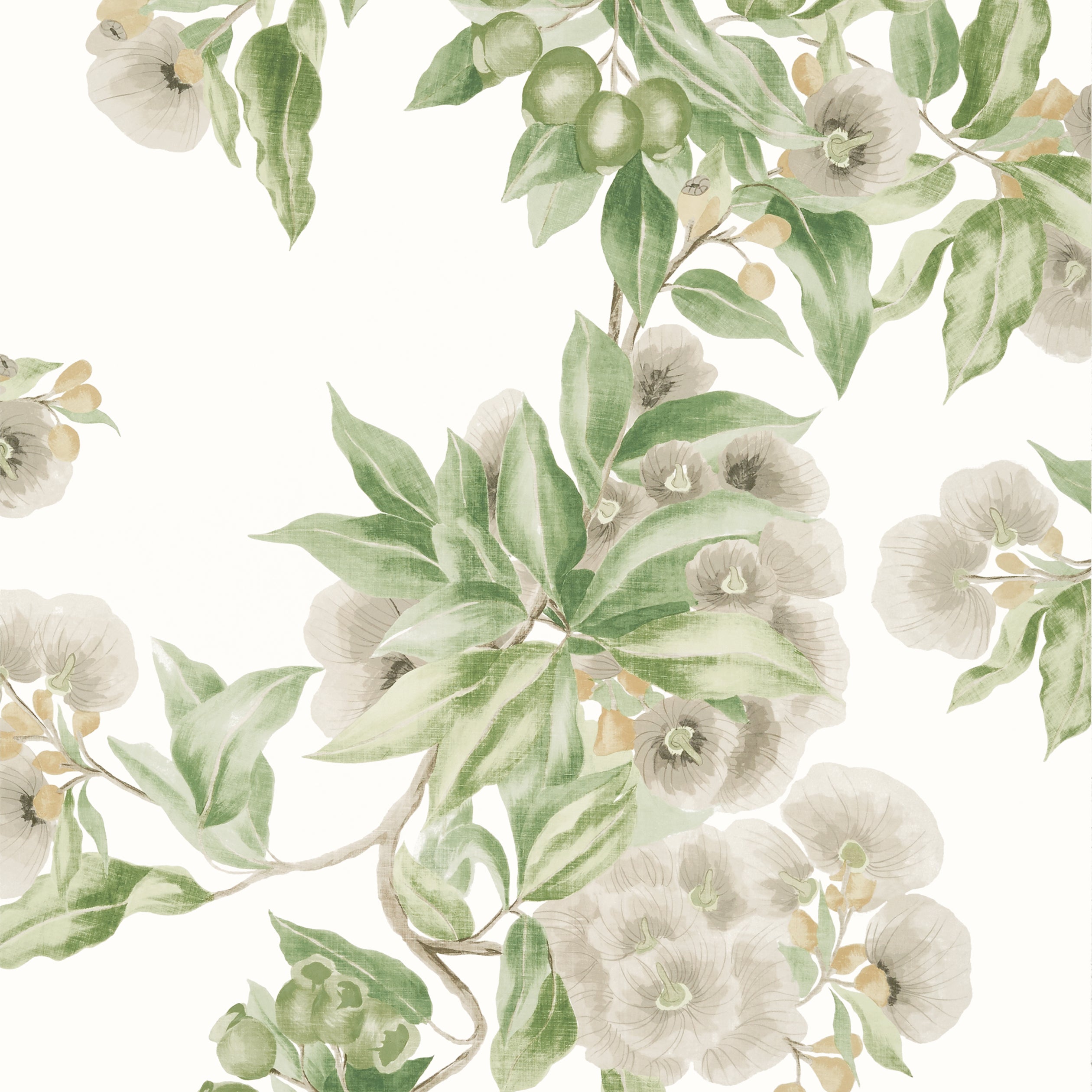 Anna French Camellia Garden Behang AT24551