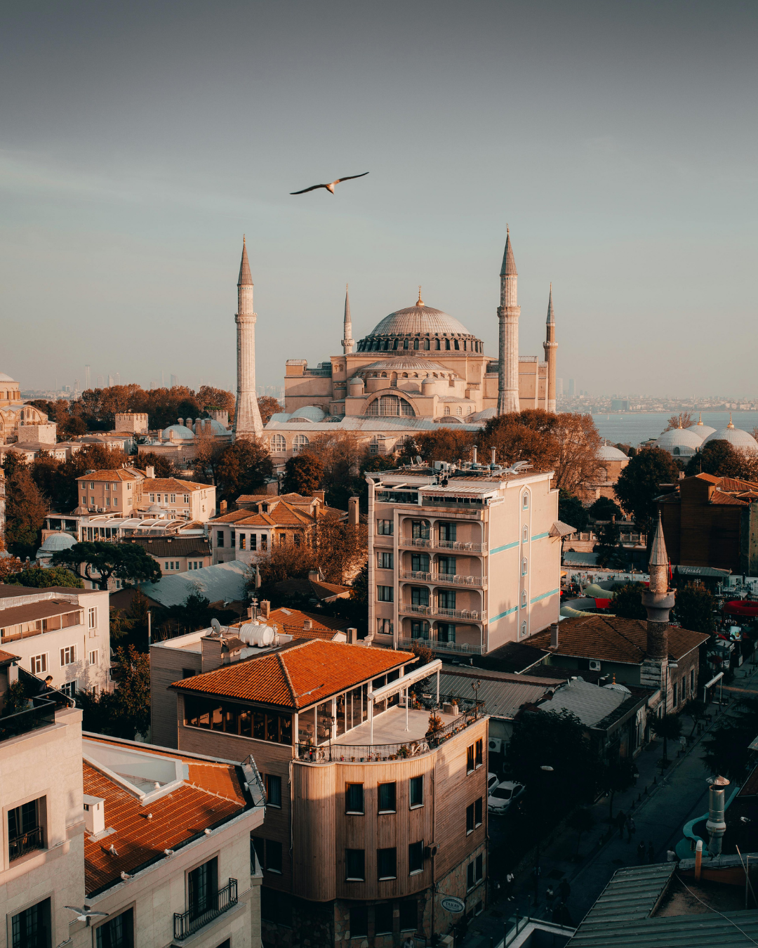 Arabic Desert No. 710