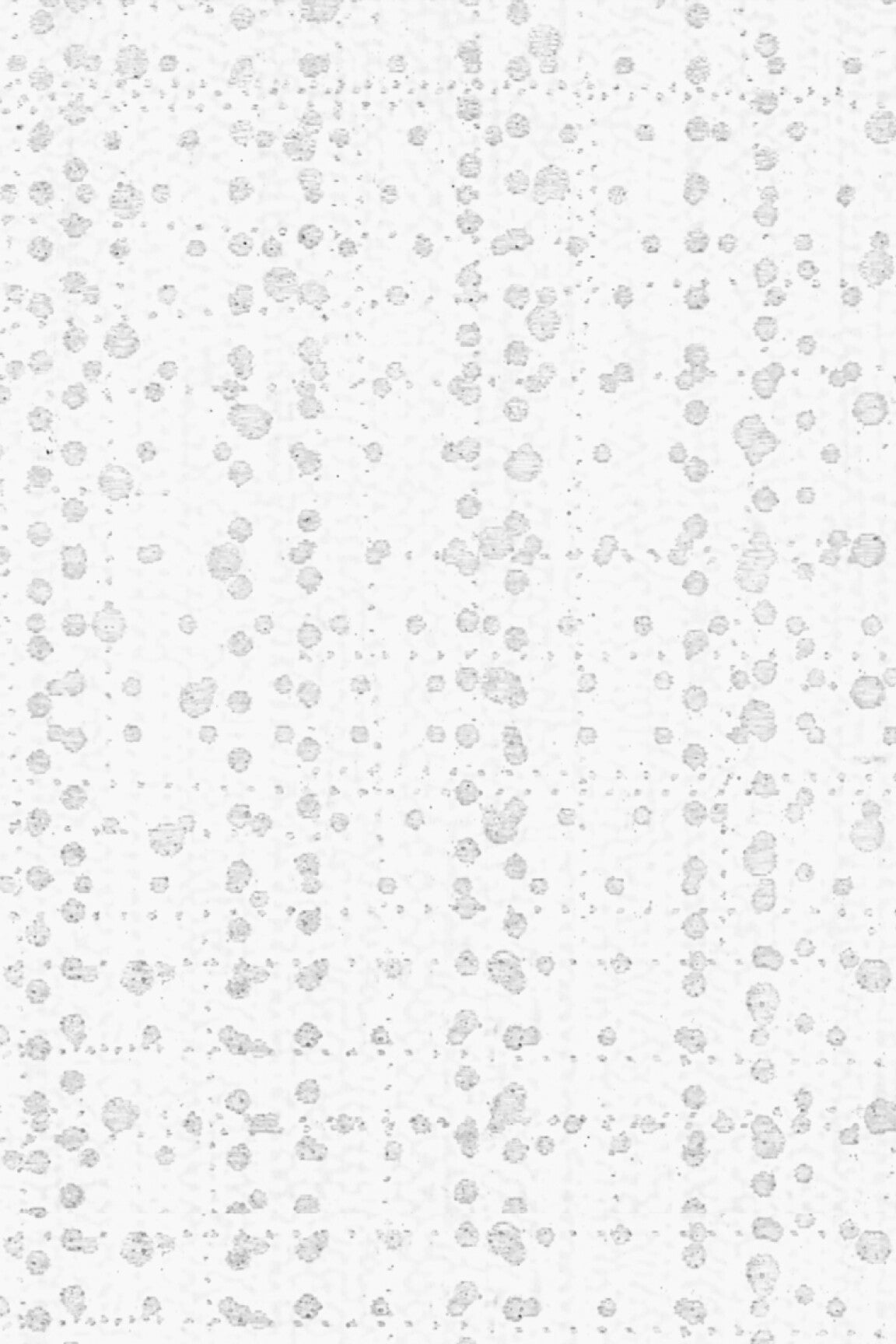 ARTE Orion Arte Contract 67281 afbeelding 1