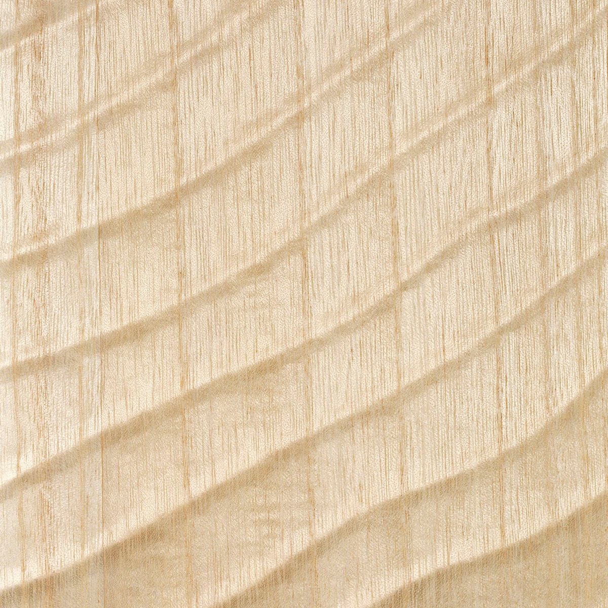 CMO Paris Dunes Behang CMO WBO 09 - Naturel