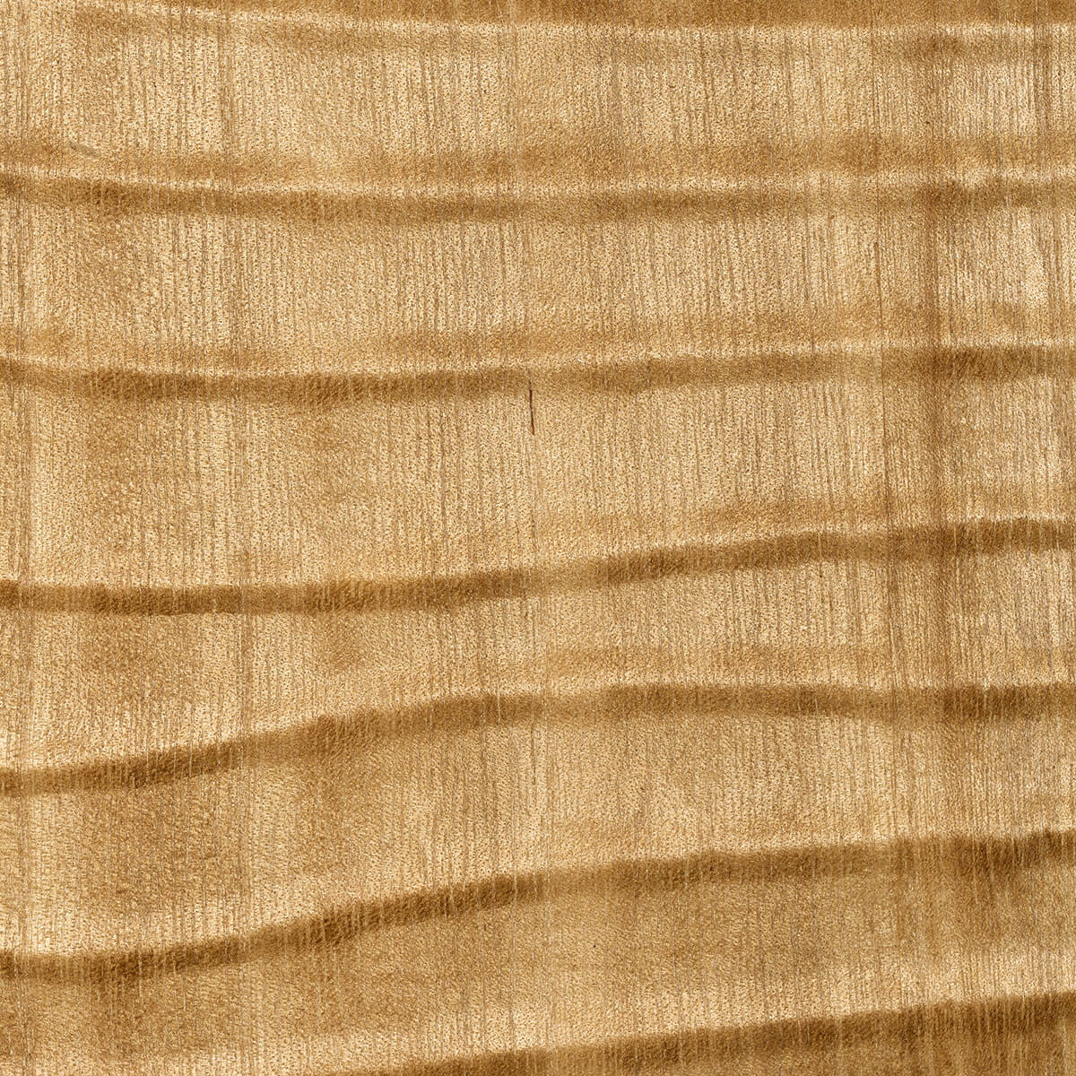 CMO Paris Dunes Behang CMO WBO 09 - Blond