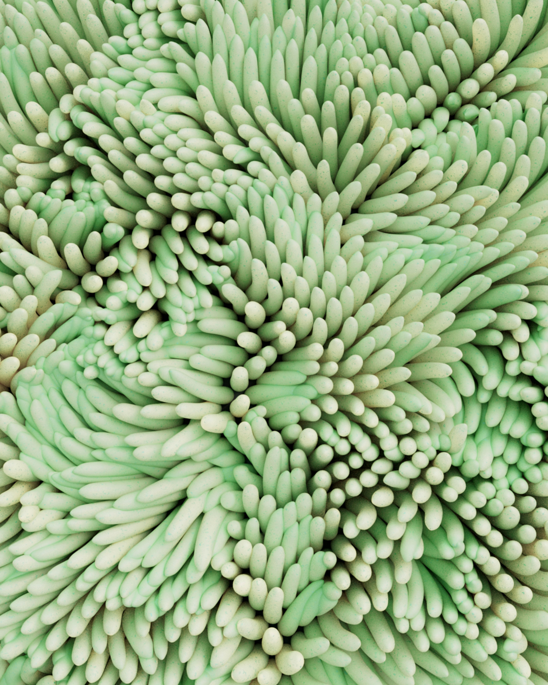 CLASSIC CORAL NO. 320