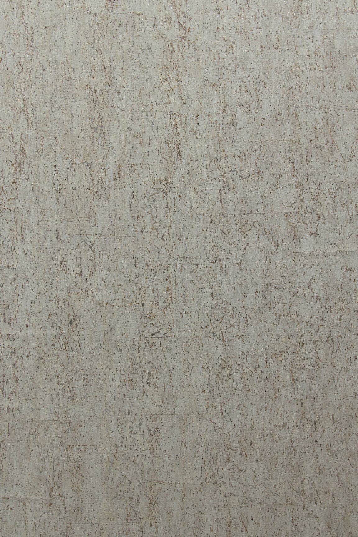 ARTE CA1 Cobra CA12 afbeelding 1 "Zwart / Grijs"