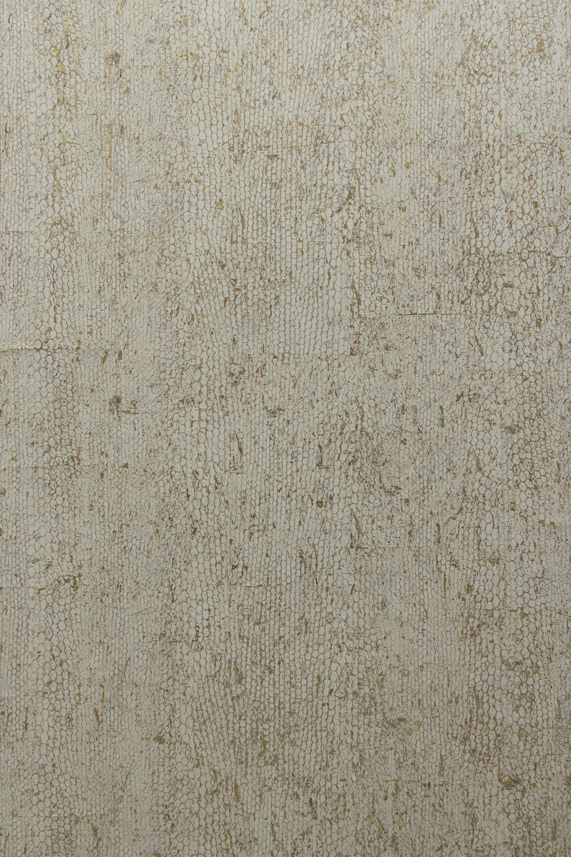 ARTE CA2 Cobra CA21 afbeelding 1 "Zwart / Grijs"