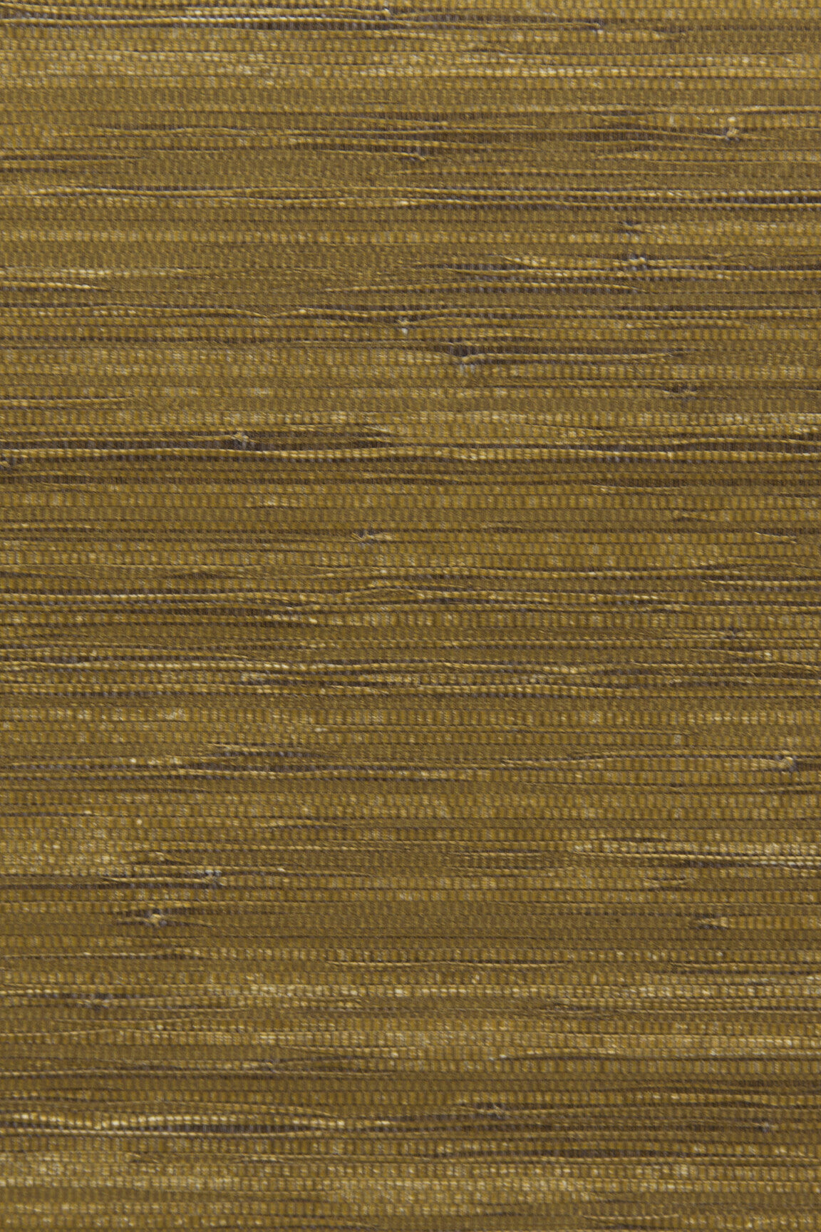 ARTE CA4 Cobra CA44 afbeelding 1 "Goud"