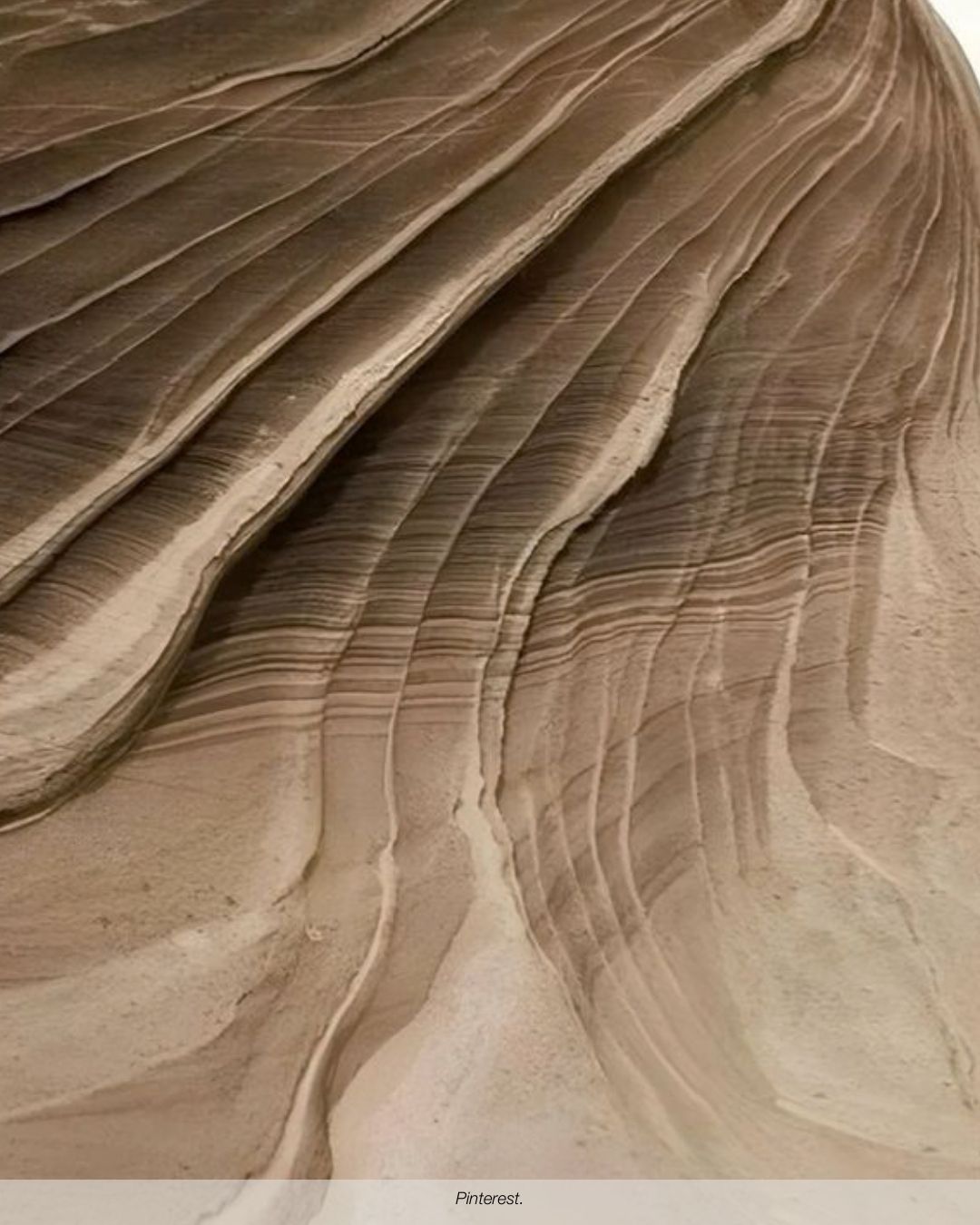 EMPERADOR CLAY NO. 1016