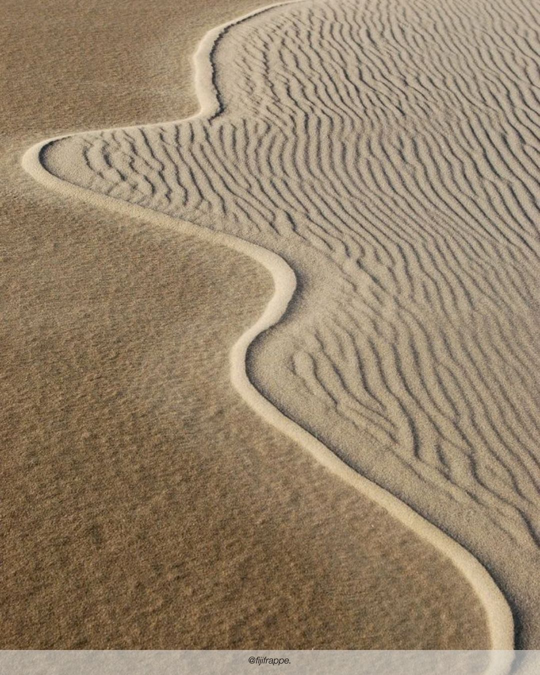 EMPERADOR FOSSIL NO. 1061