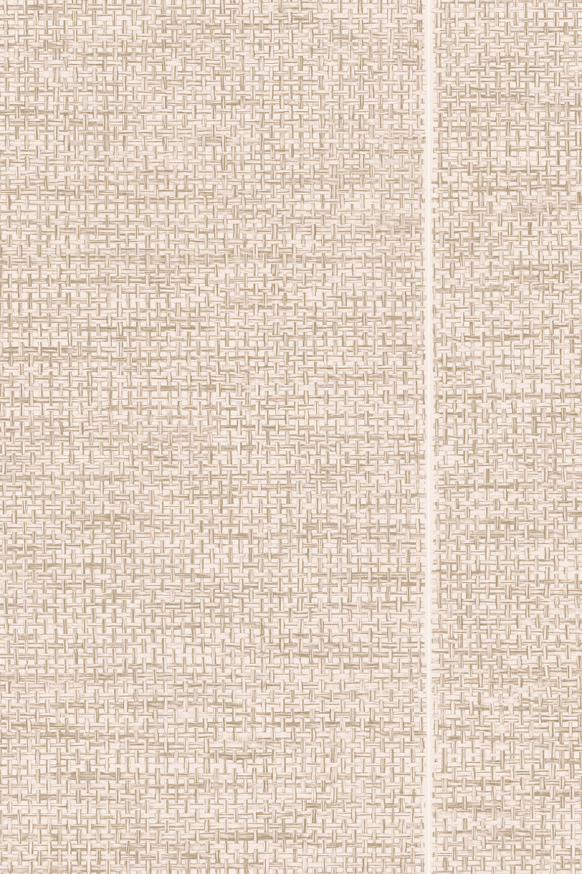 ARTE Le Raphia Tissé Essentials Les Naturels 26741 afbeelding 1 "Naturel"