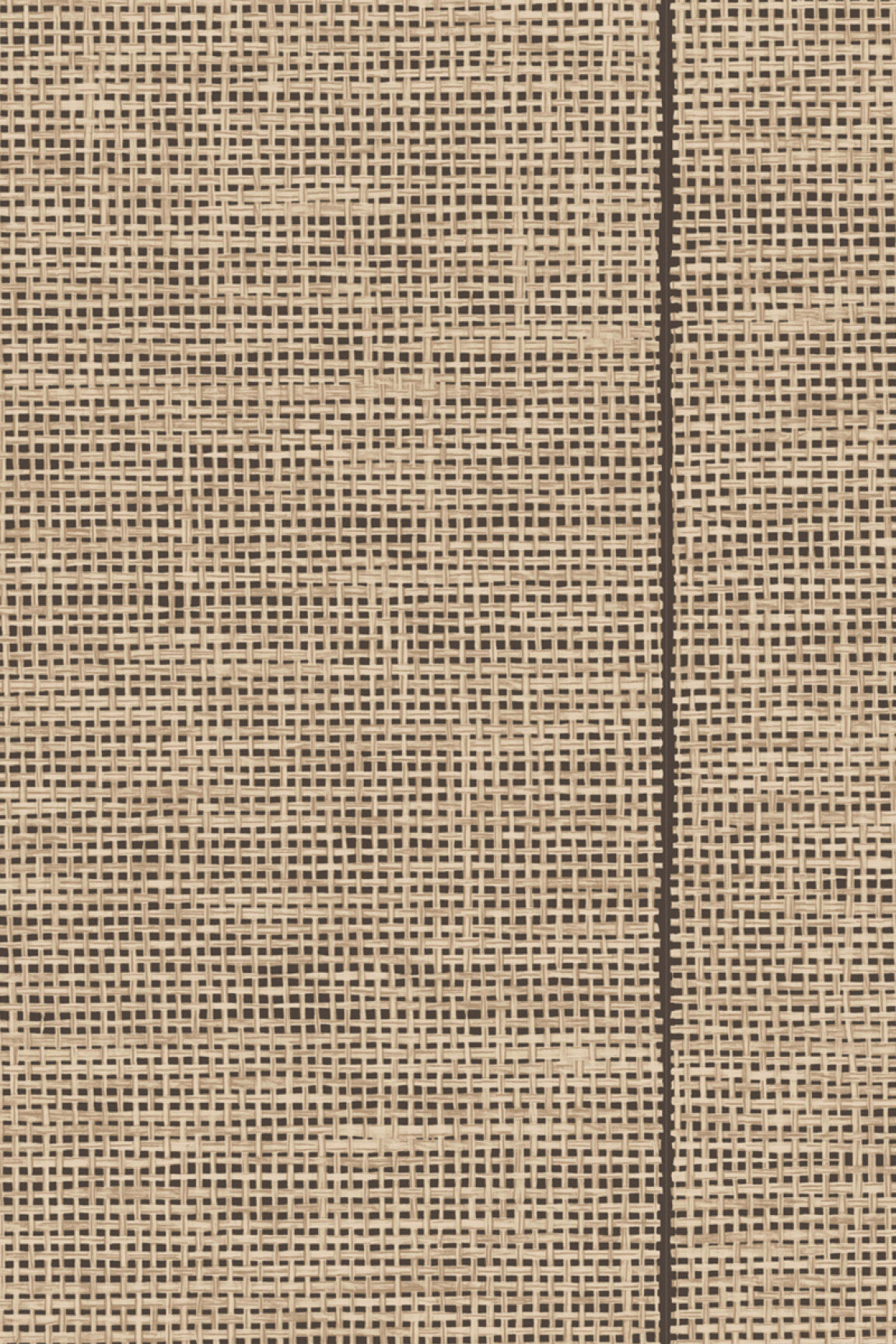 ARTE Le Raphia Tissé Essentials Les Naturels 26744 afbeelding 1 "Bruin"