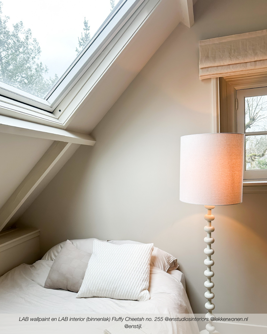 Fluffy Cheetah No. 255