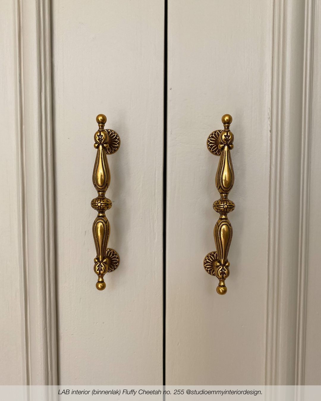 Fluffy Cheetah No. 255