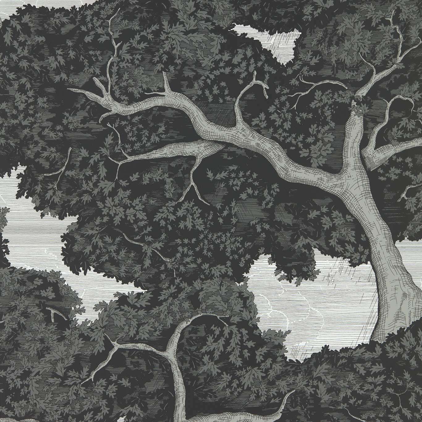 Harlequin Eternal Oak Wide Width Behang 113040 — LAB COLOUR THE WORLD