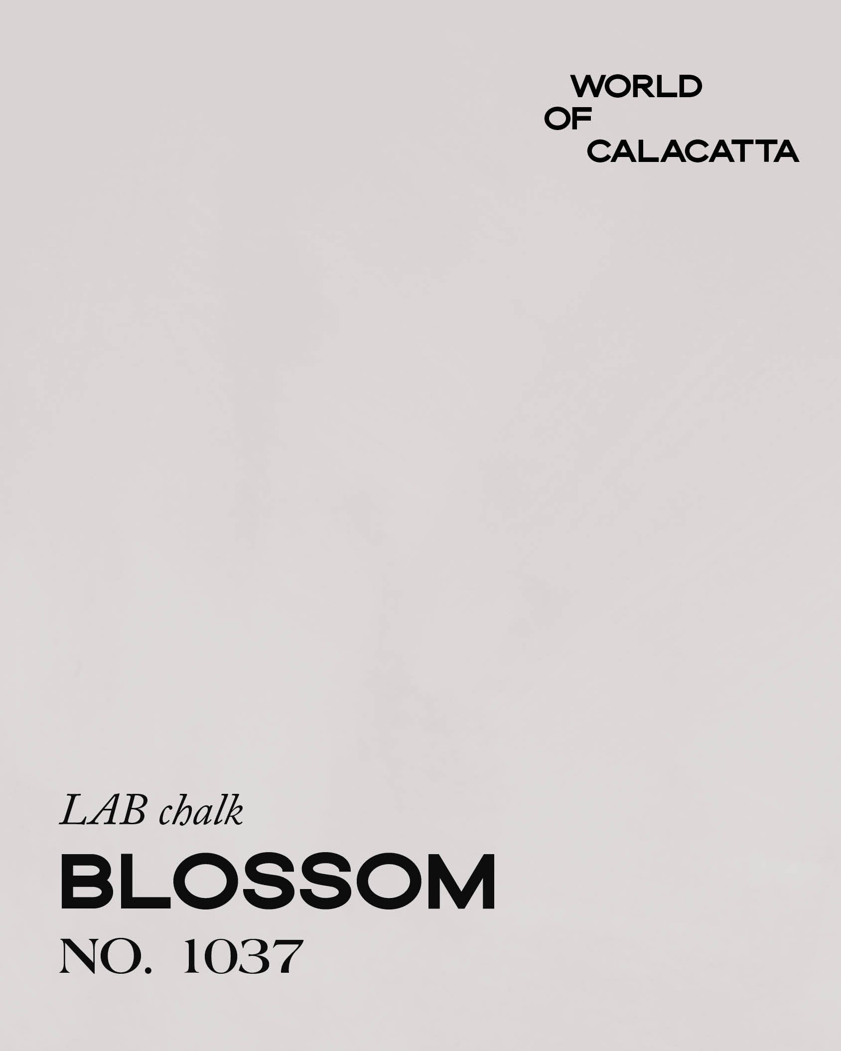 CALACATTA BLOSSOM NO. 1037