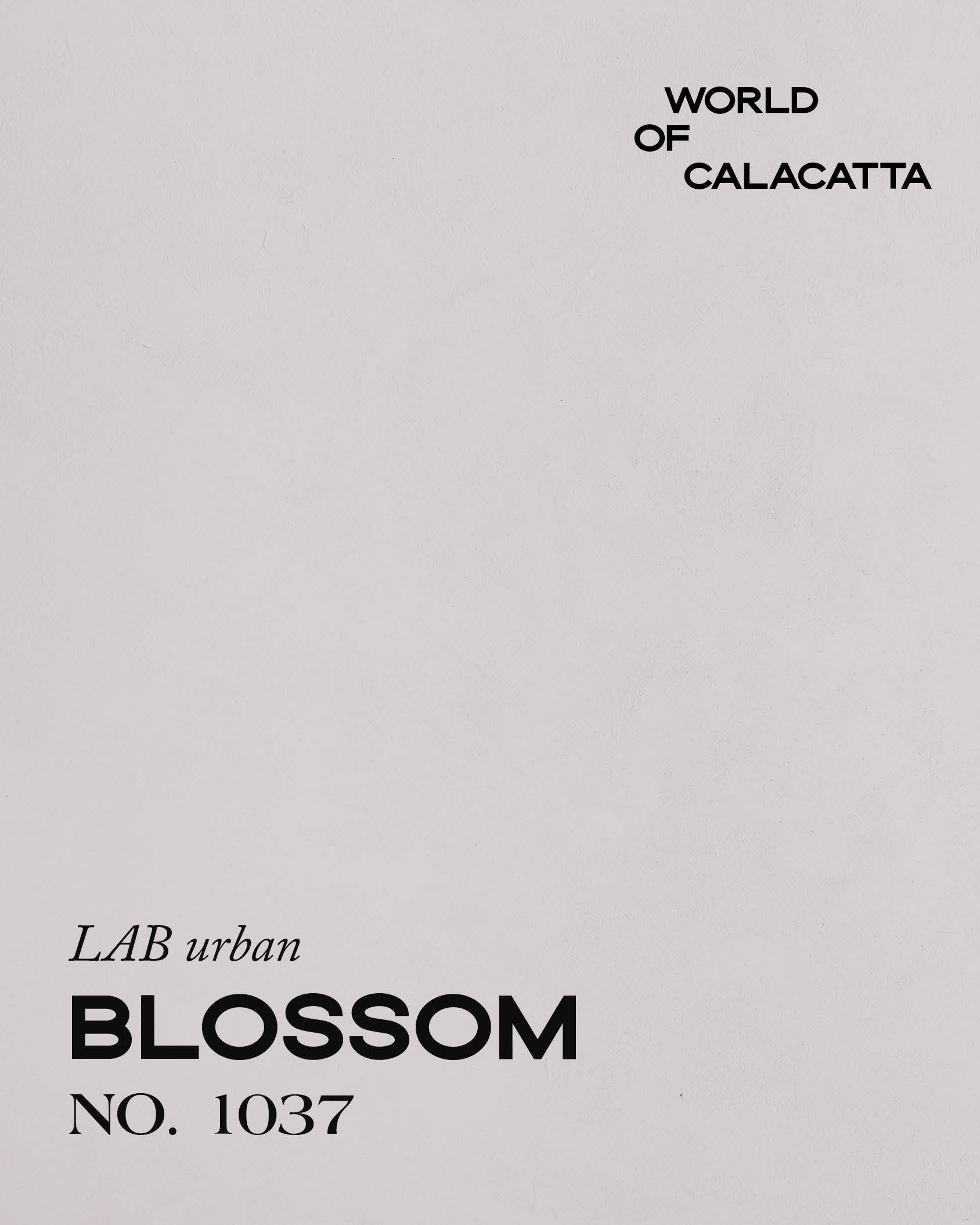 CALACATTA BLOSSOM NO. 1037
