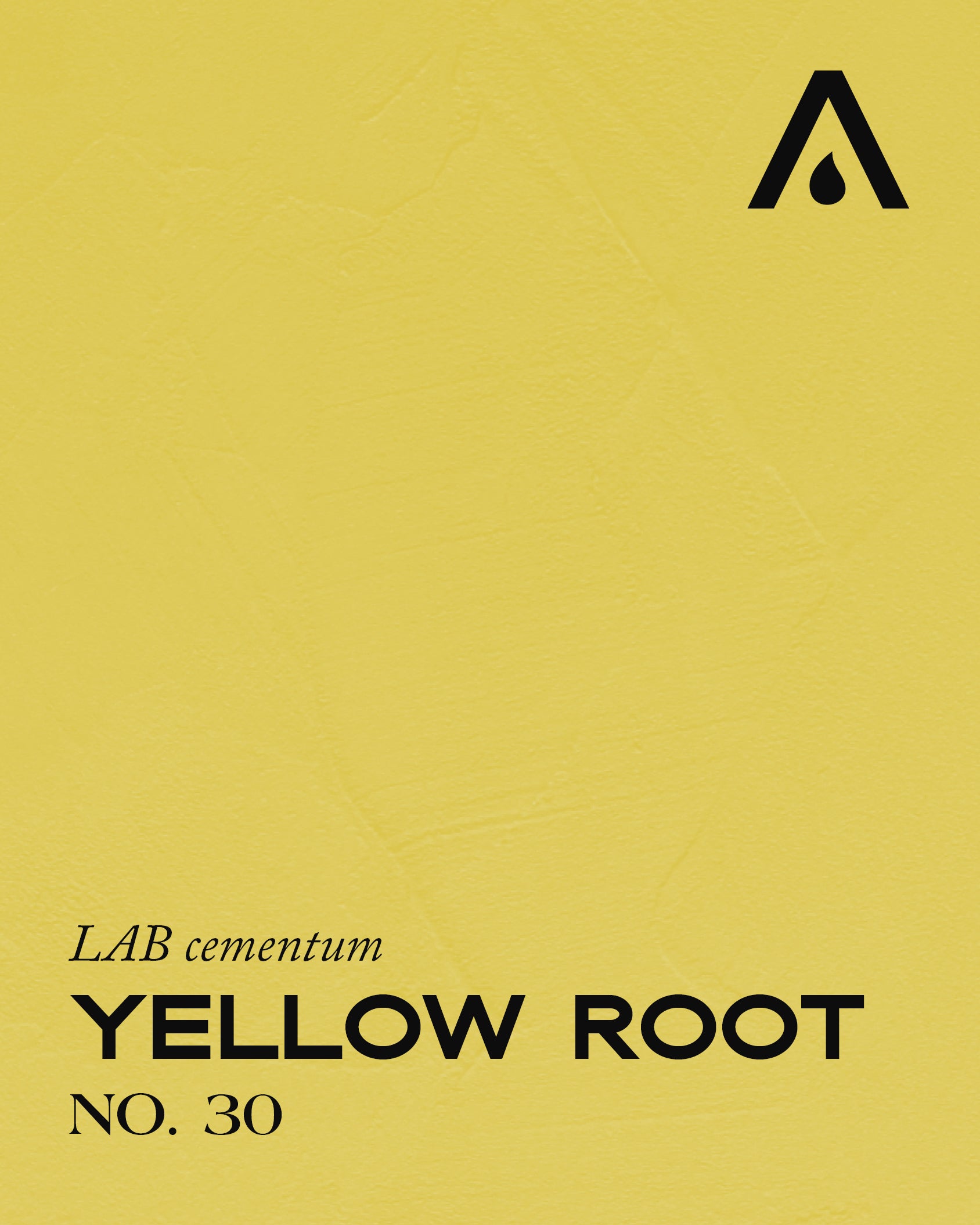 Yellow root no. 30