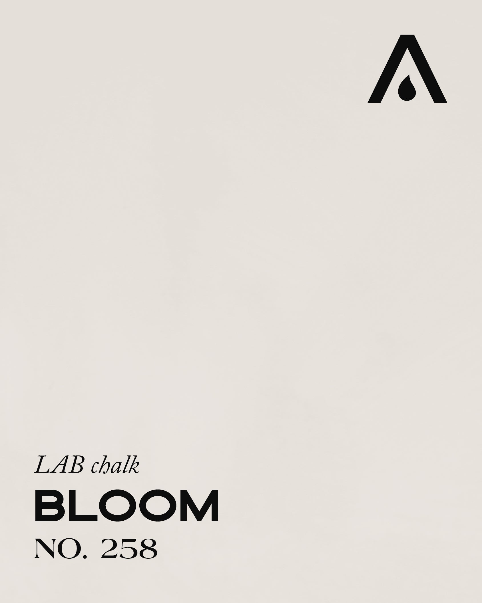 BLOOM NO. 258