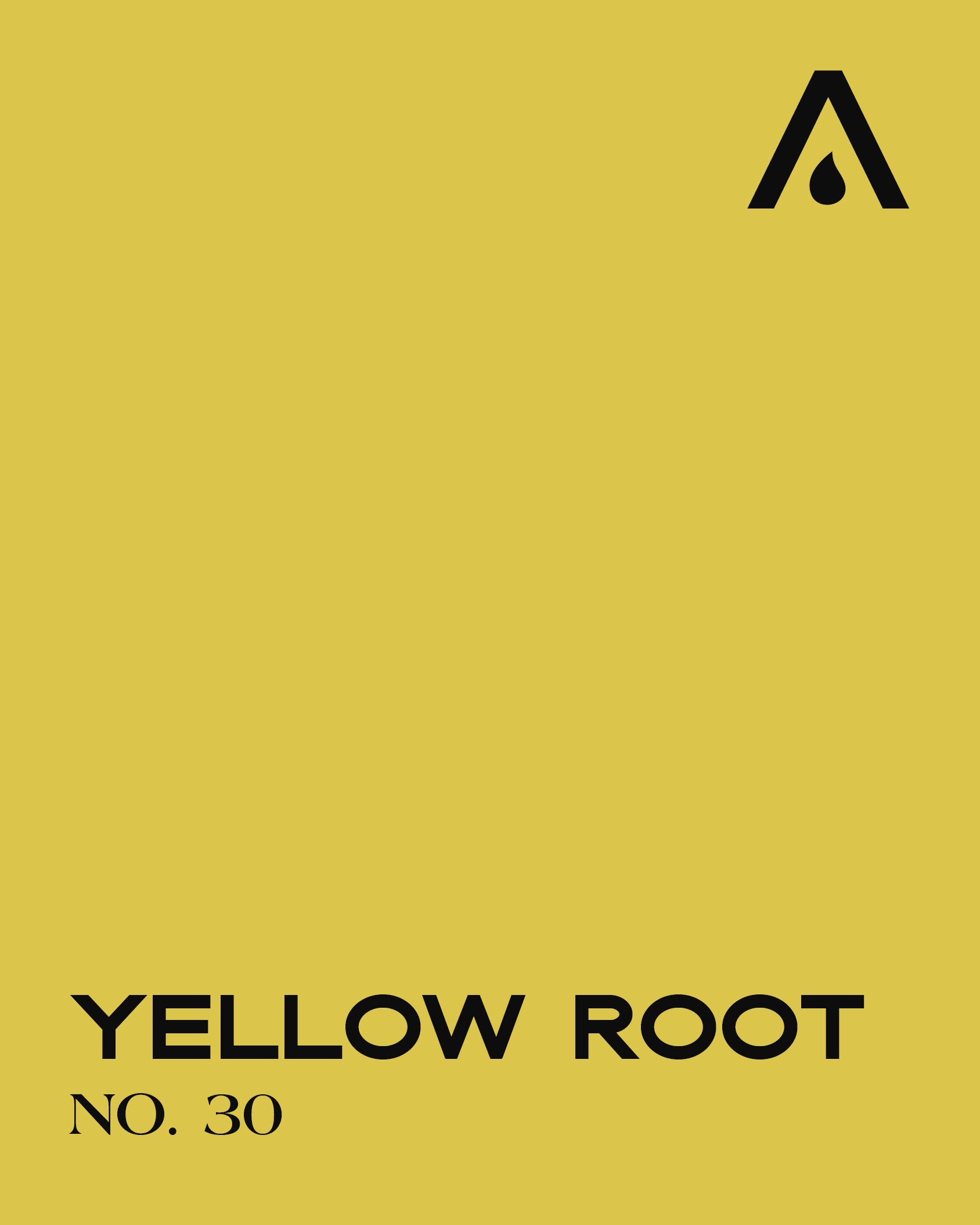 Yellow root no. 30
