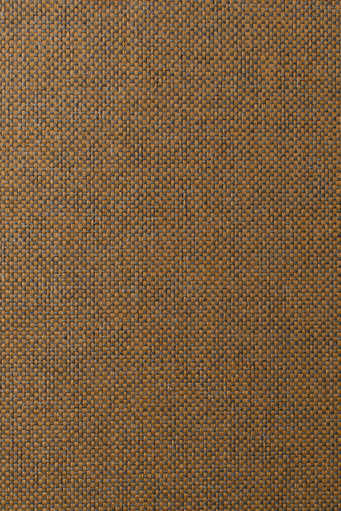 ARTE Scope Manovo 42080A afbeelding 1