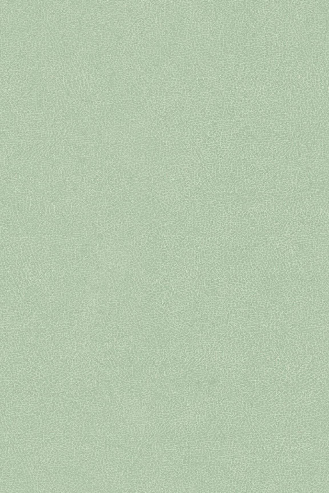 HookedOnWalls Passe Partout 2026 Colour Vibes 29805