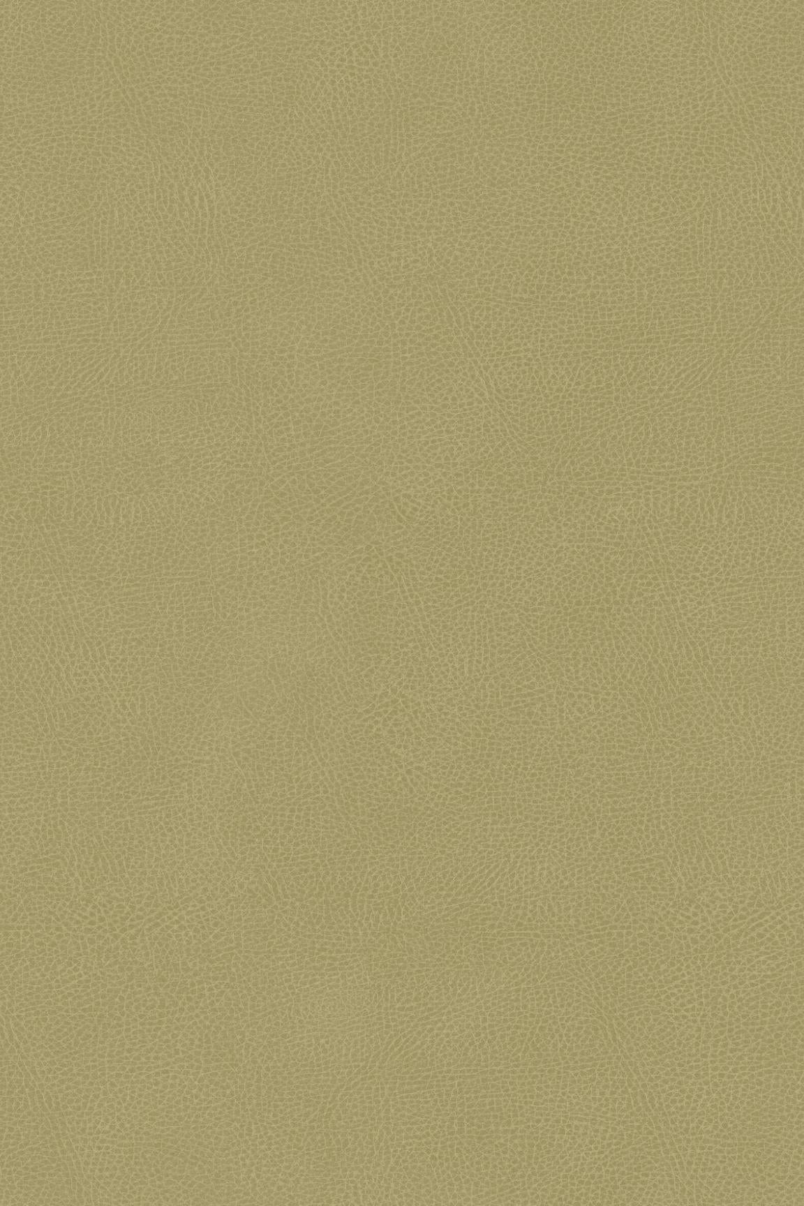 HookedOnWalls Passe Partout 2026 Colour Vibes 29898