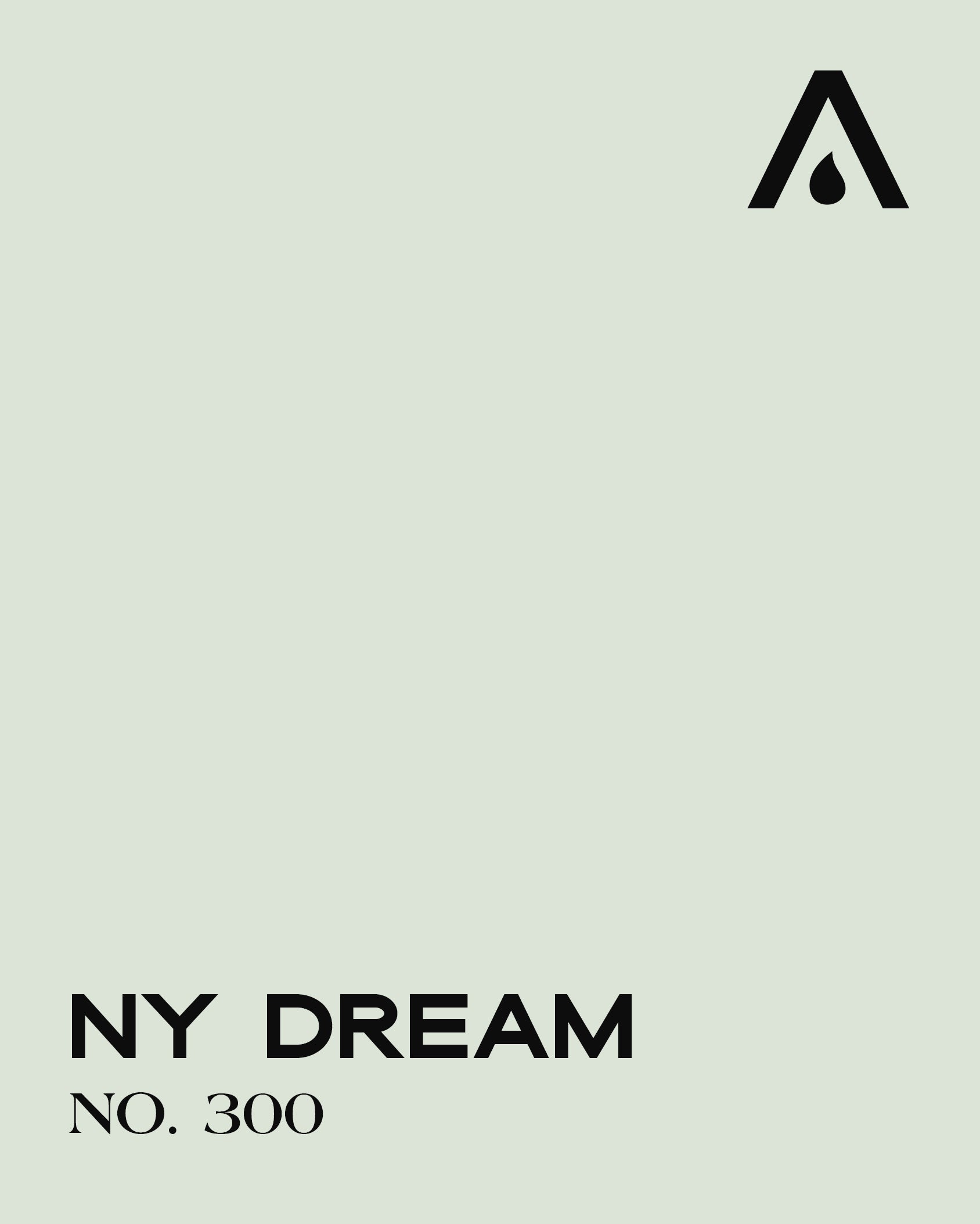 NY DREAM NO. 300