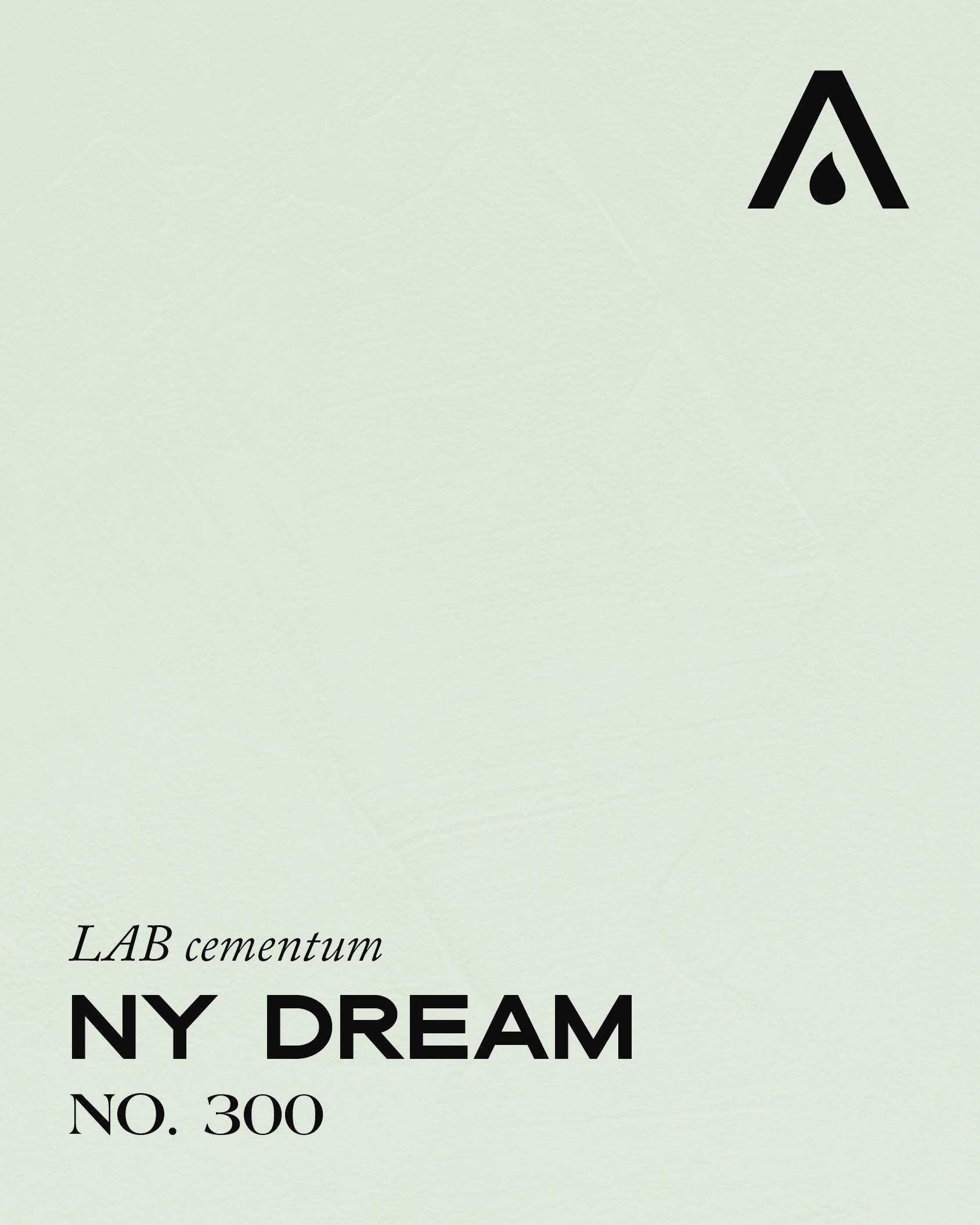 NY DREAM NO. 300
