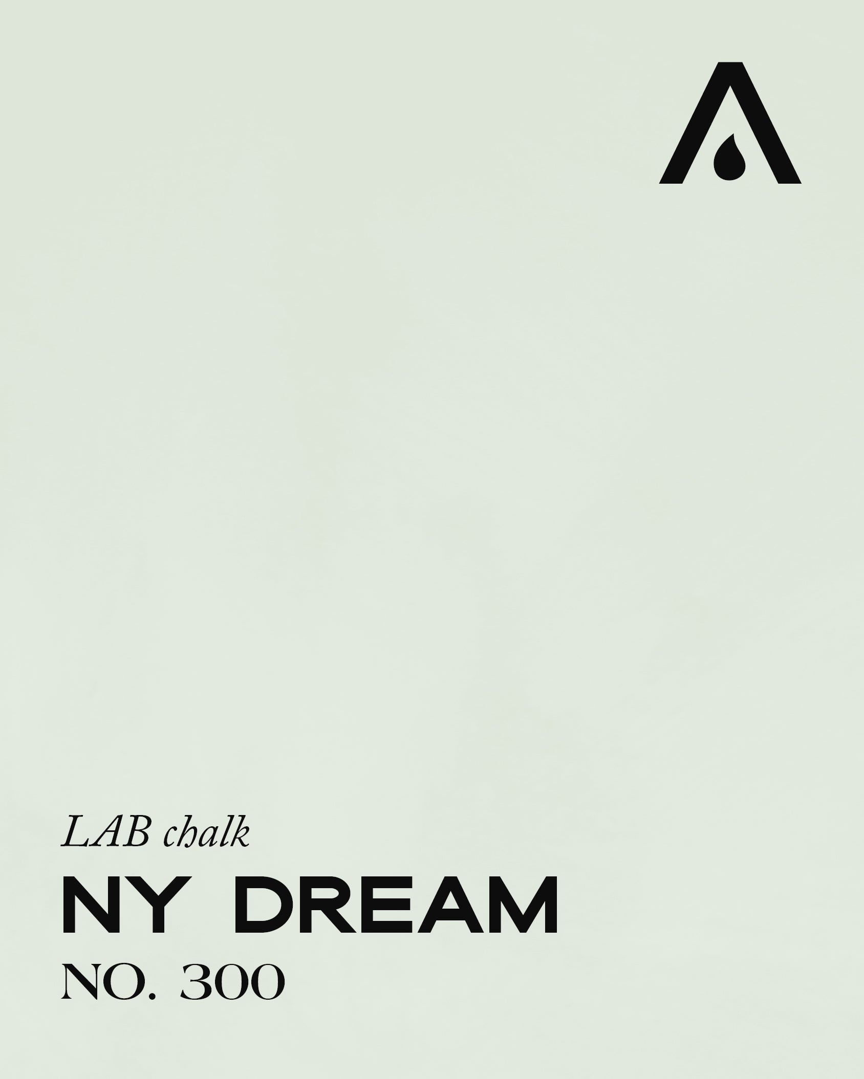 NY DREAM NO. 300