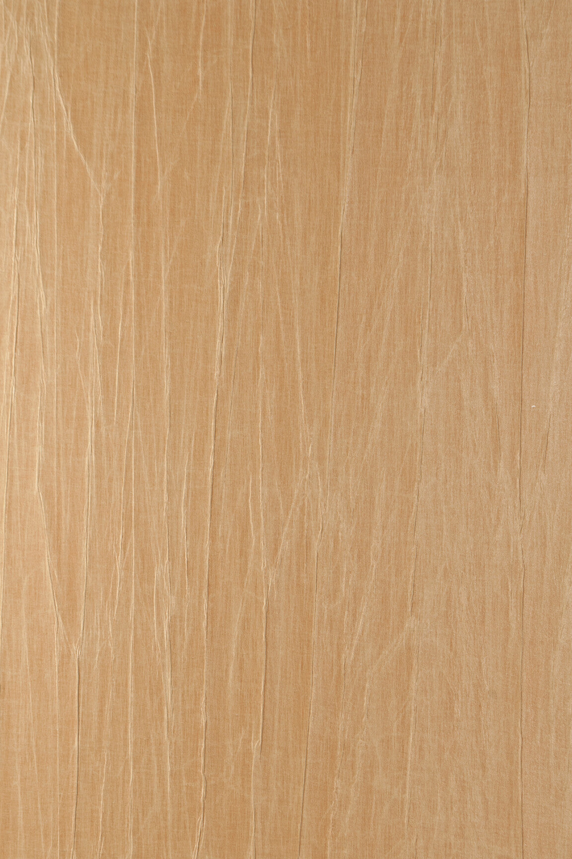 ARTE Pyxis Noctis 38002 afbeelding 1 "Naturel"