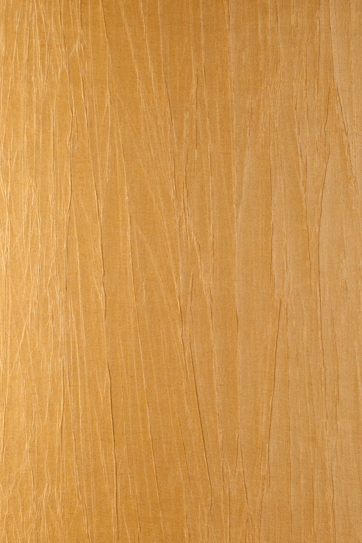 ARTE Pyxis Noctis 38007 afbeelding 1 "Oranje"