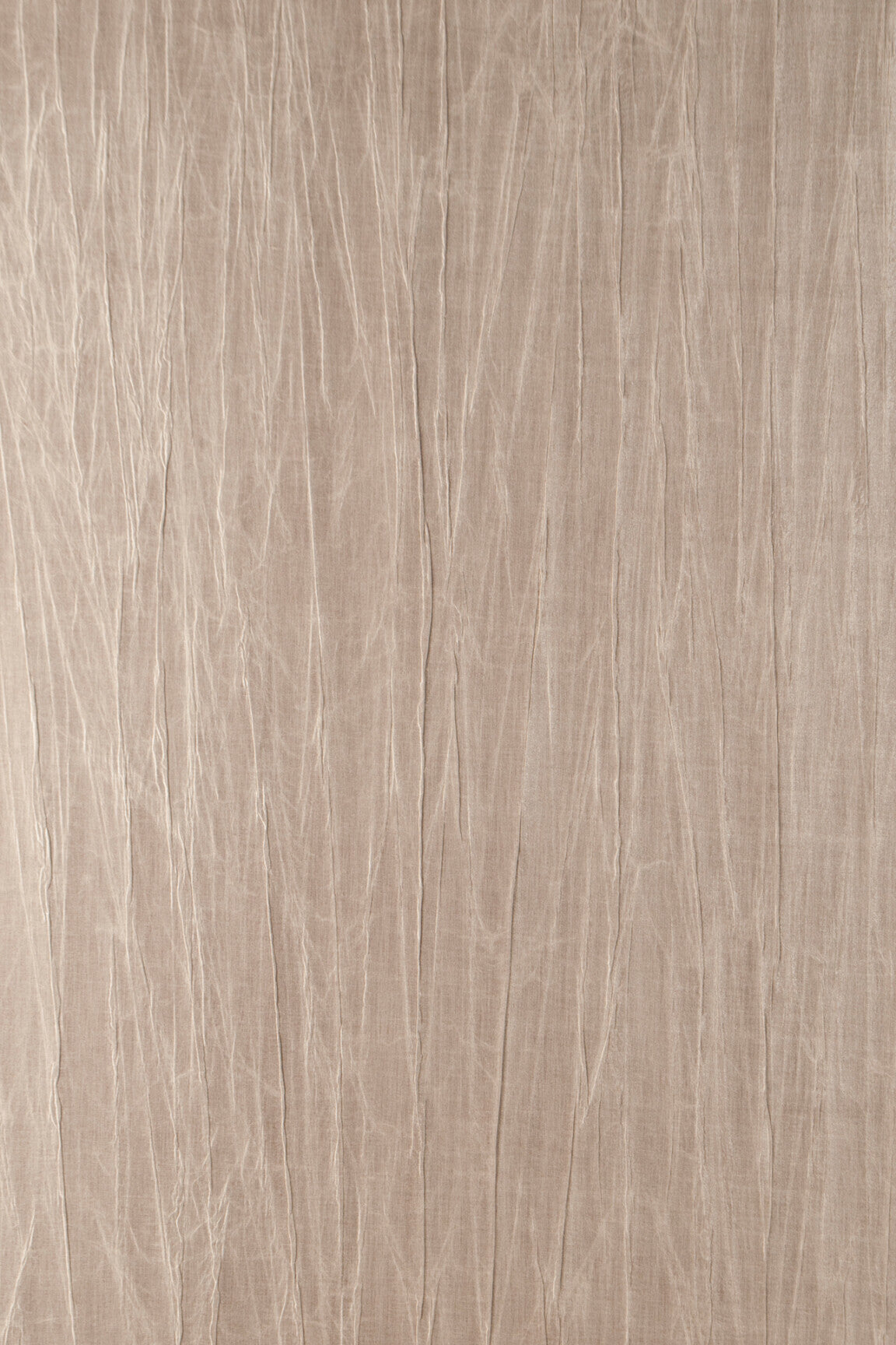 ARTE Pyxis Noctis 38008 afbeelding 1 "Naturel","Paars"