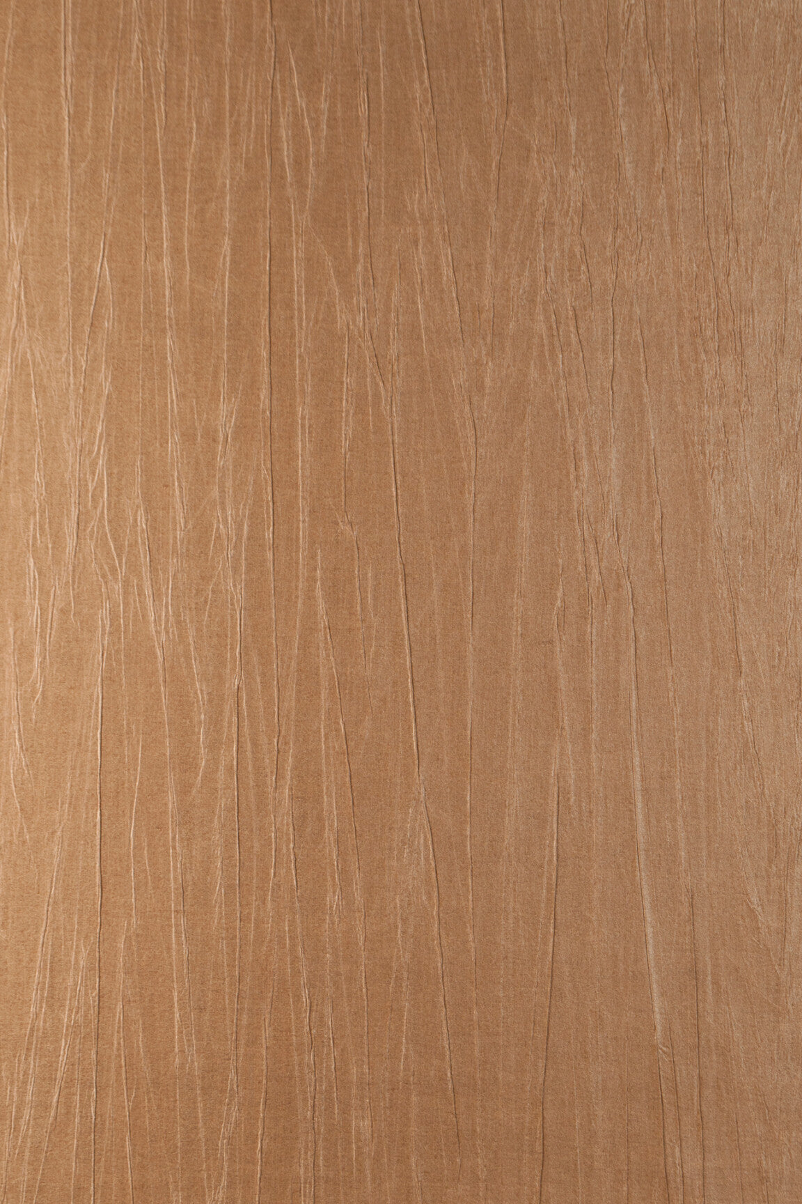 ARTE Pyxis Noctis 38014 afbeelding 1 "Oranje"