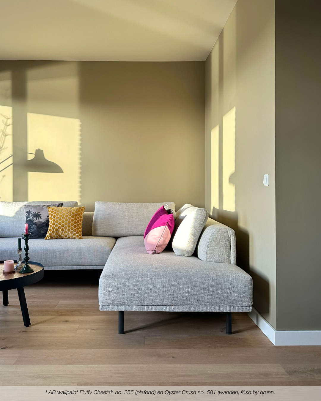 OYSTER CRUSH NR. 581