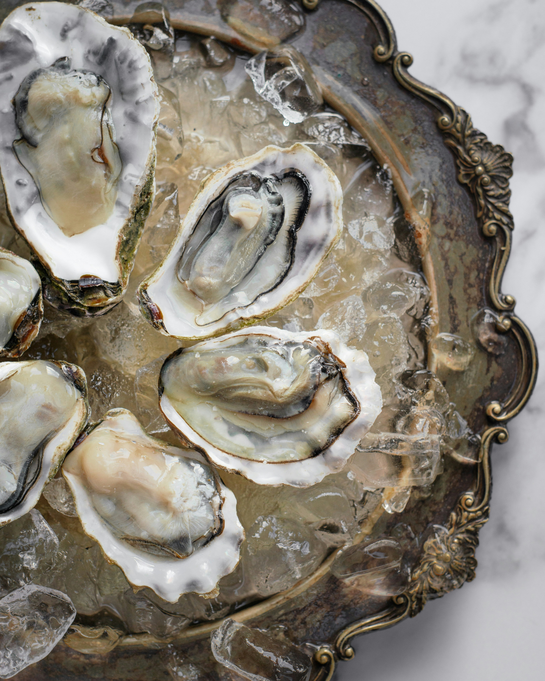 OYSTER CRUSH NR. 581