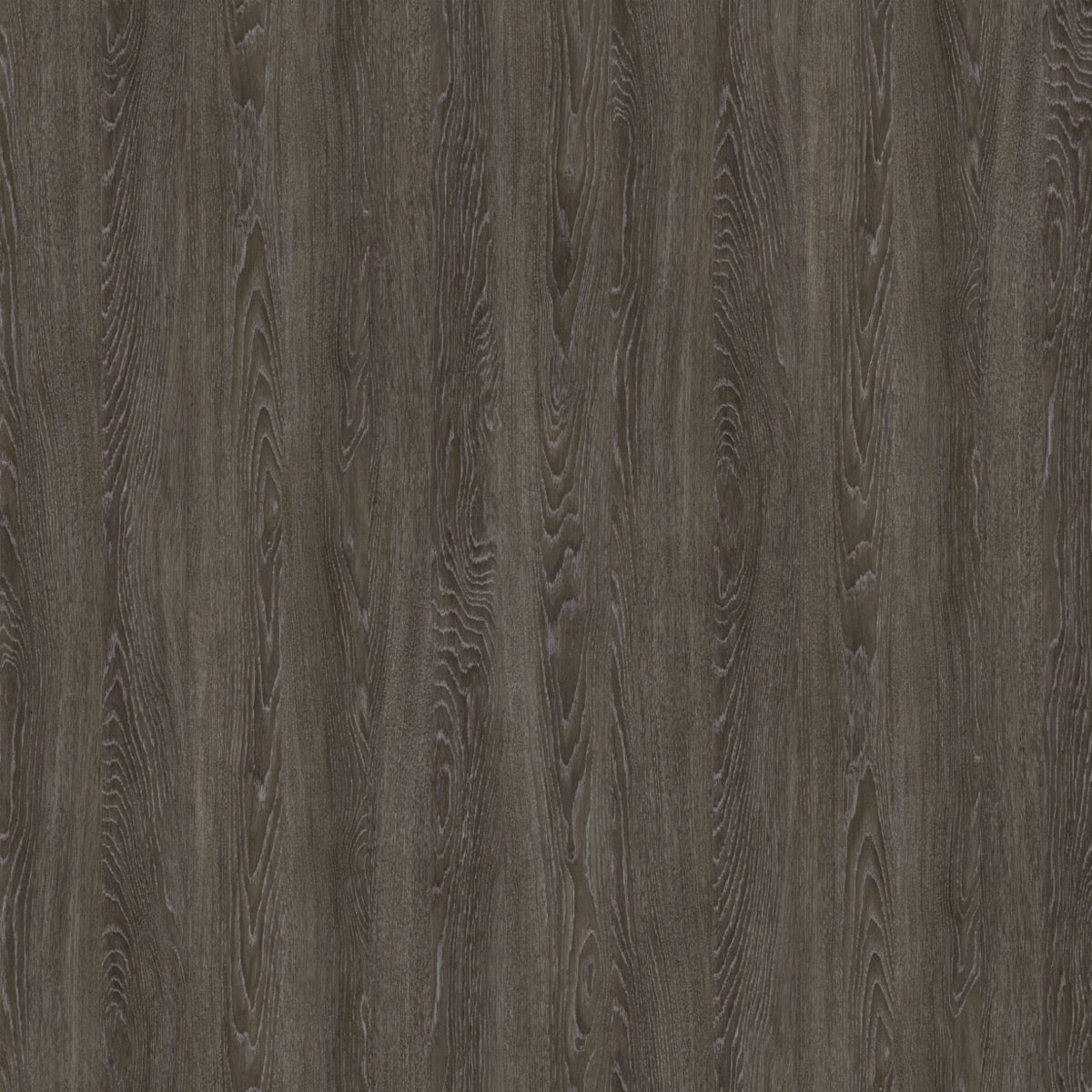 Nobilis Grand Chêne Taupe Behang PBS37