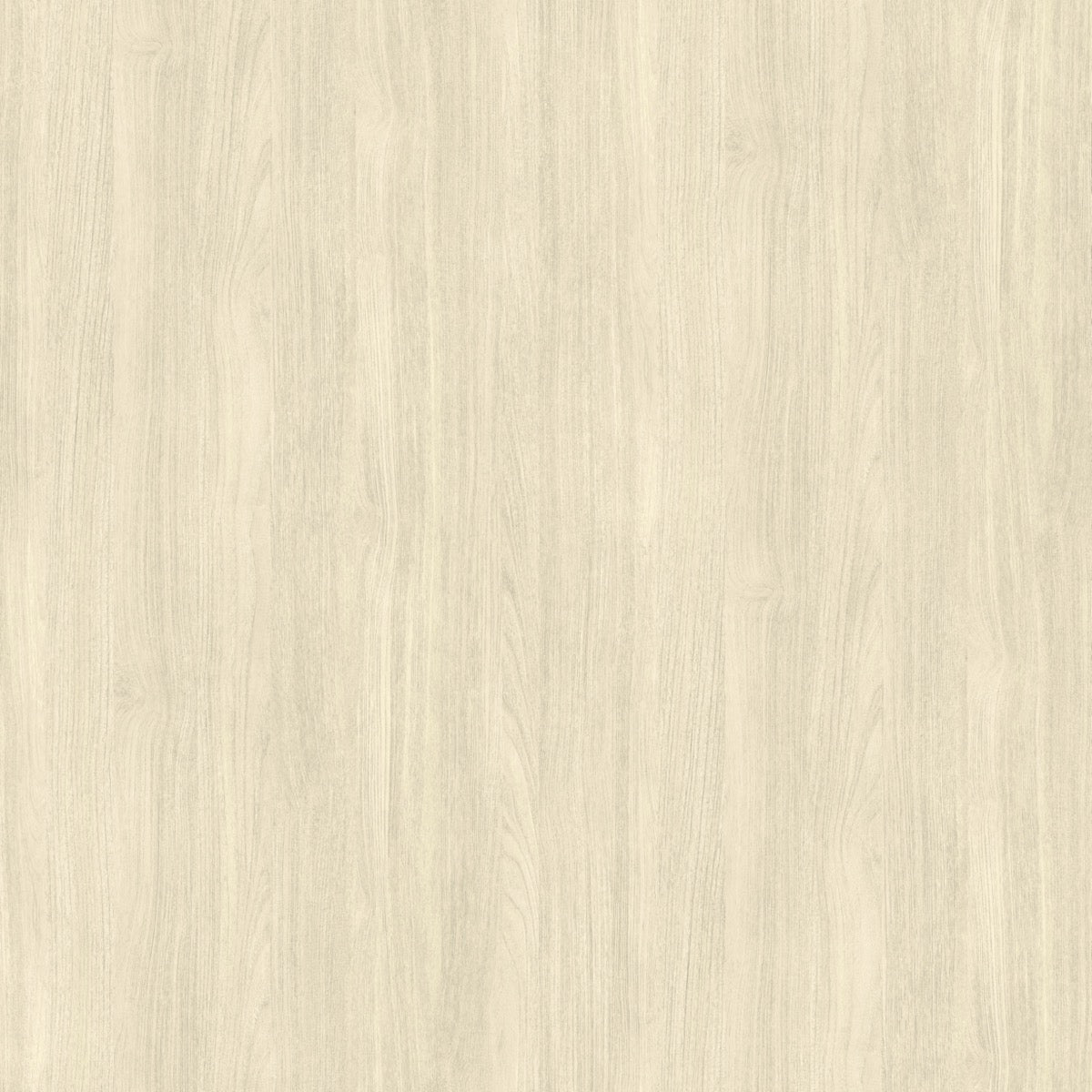 Nobilis Teck Blanc Behang PBS60