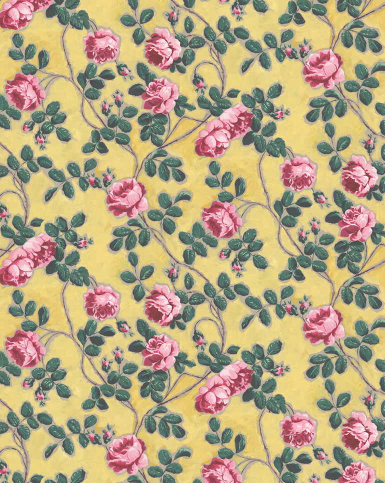 Antoinette Poisson Roses Pompadour Behang Rouleau 75C