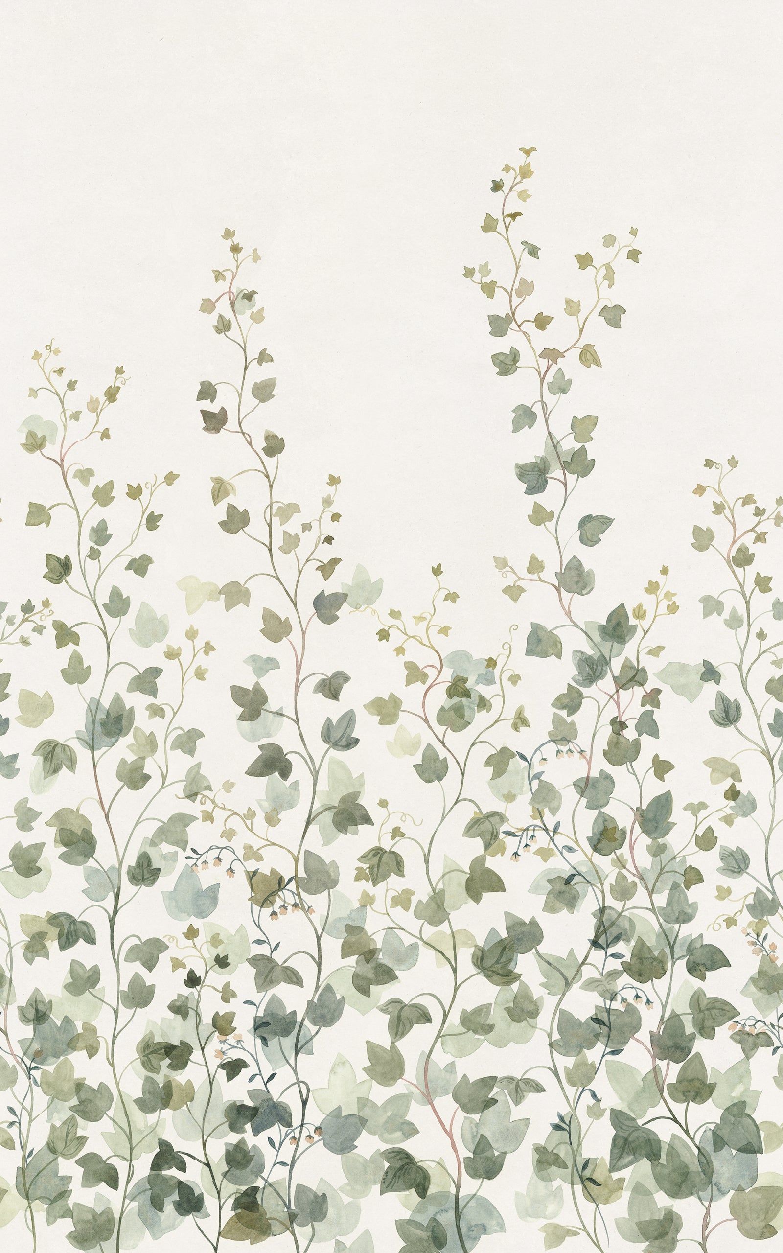 Sandberg Ivy Behang S10484 - Green