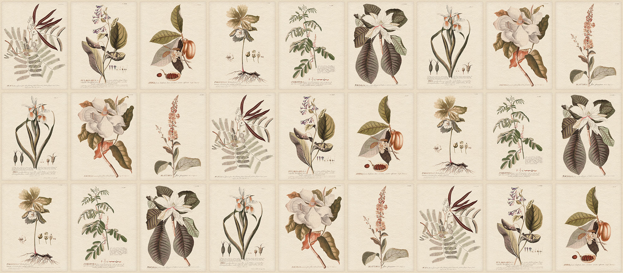 Sandberg Flora Behang S10599 - Sepia