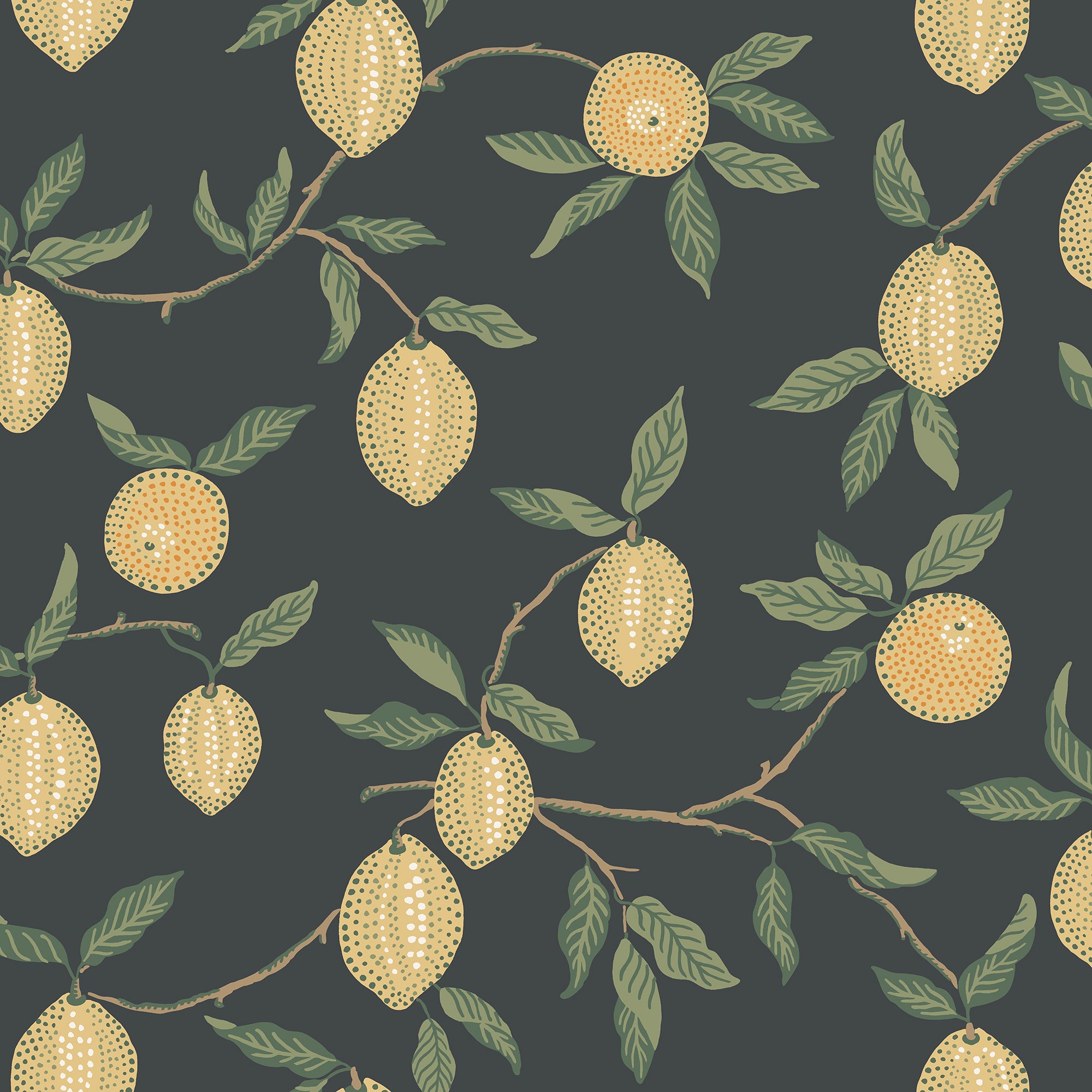 Sandberg Limone Behang S10668 - Charcoal