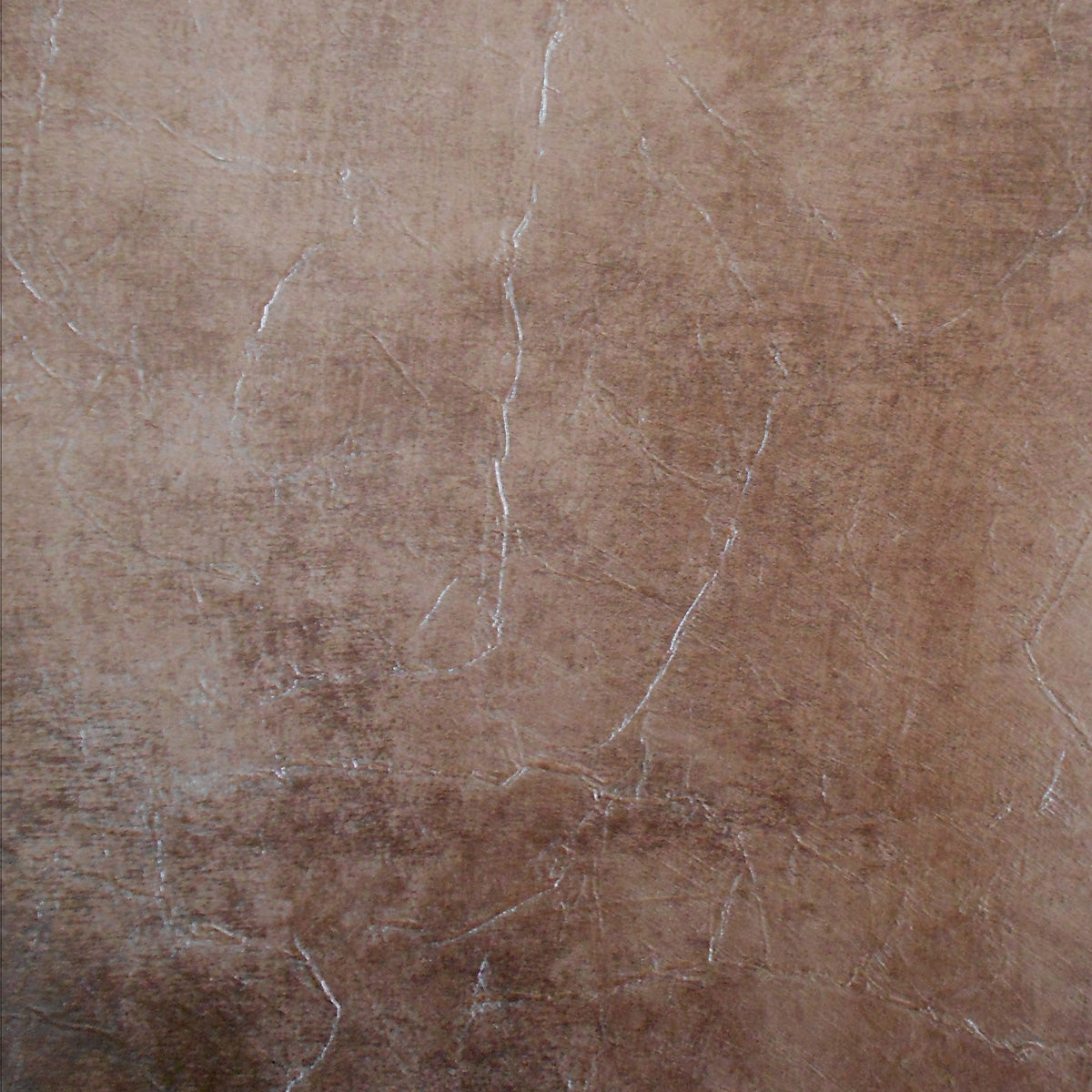Lizzo Behang Sfumatura 21518
