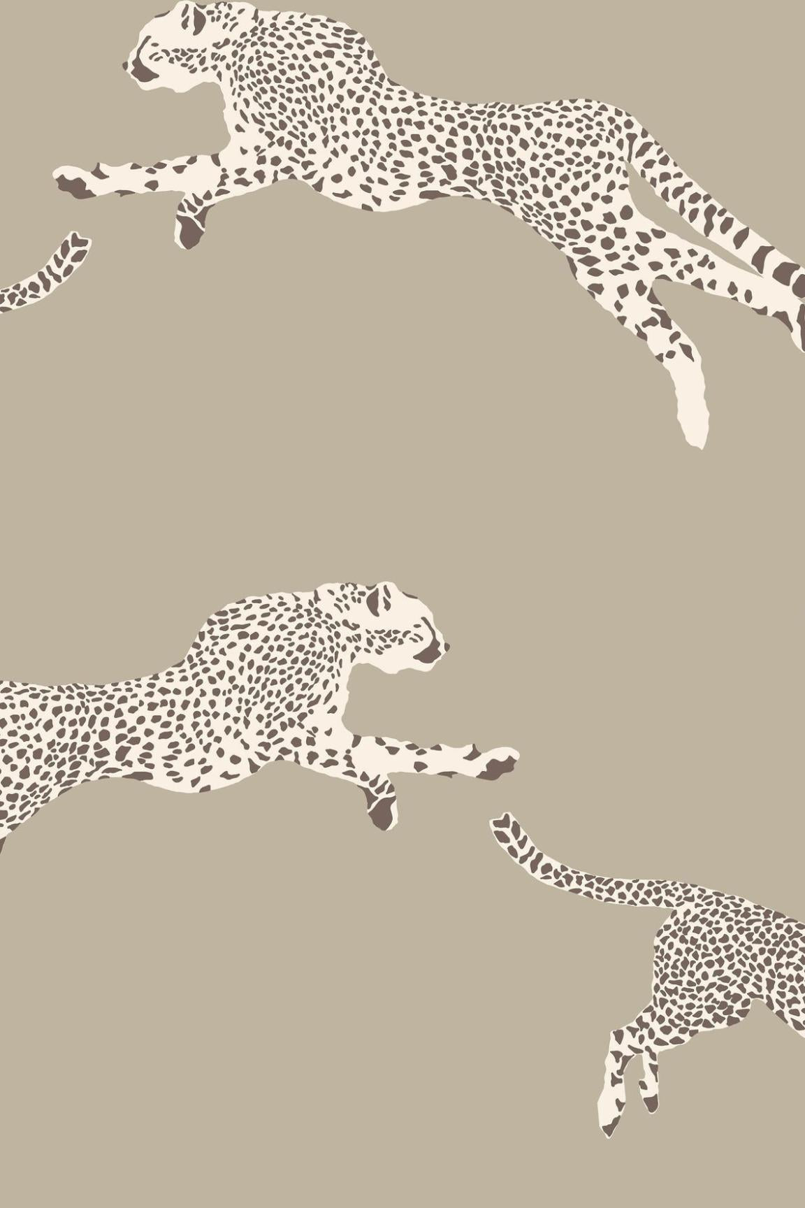 HookedOnWalls Scalamandre Leaping Cheetah JV26021