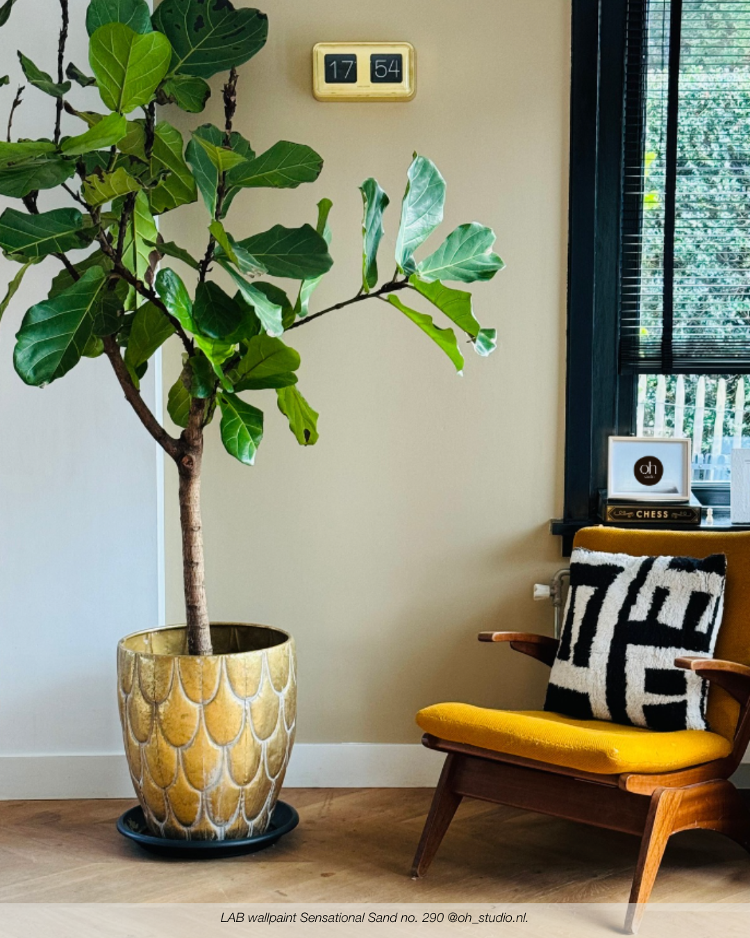 SENSATIONAL SAND NO. 290